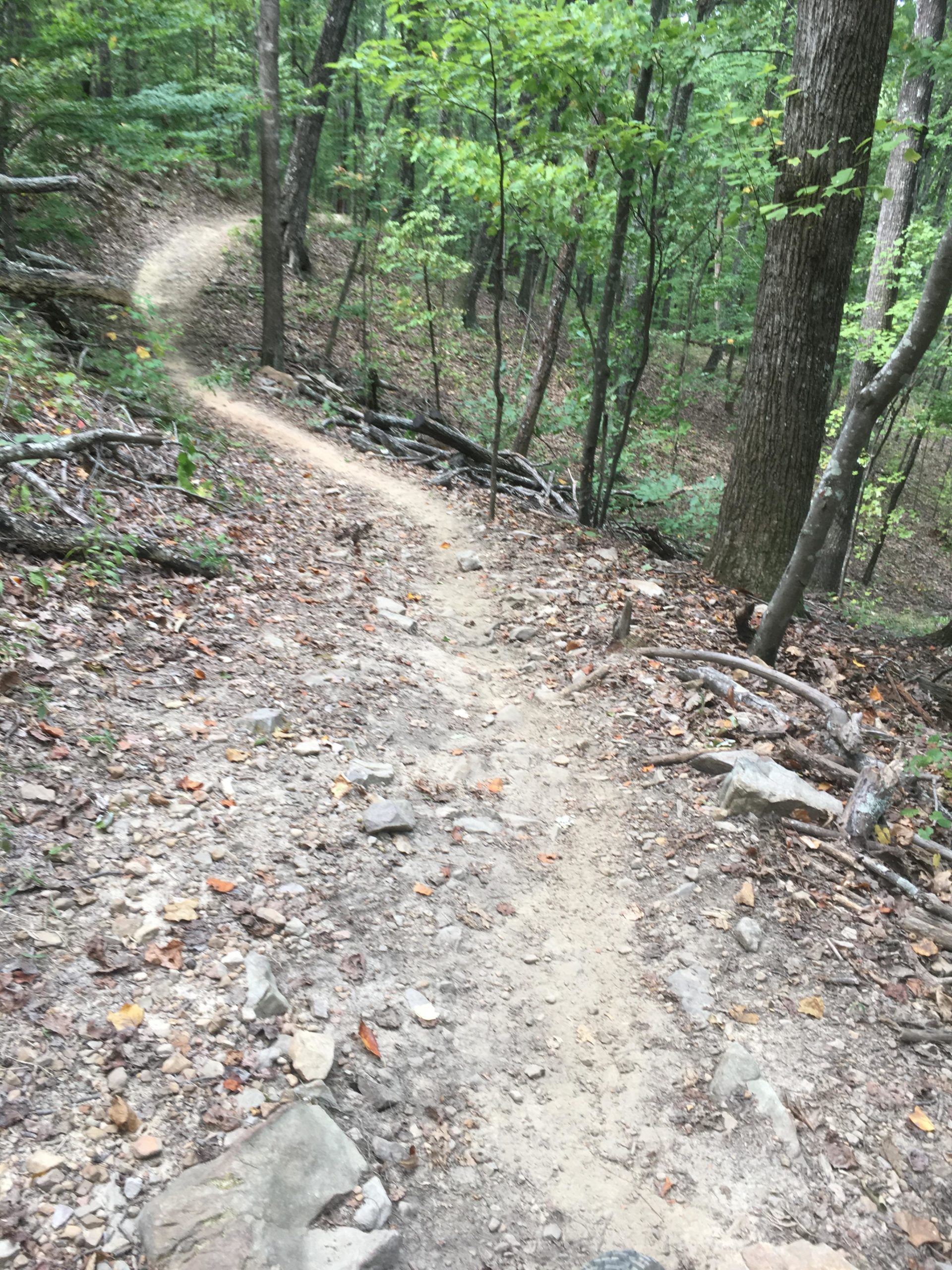A winding dirt trail through a forested area, surrounded by trees and scattered rocks and leaves on the ground. The path curves to the right, leading into a lush green environment. Oak Mountain State Park mountain bike trail.