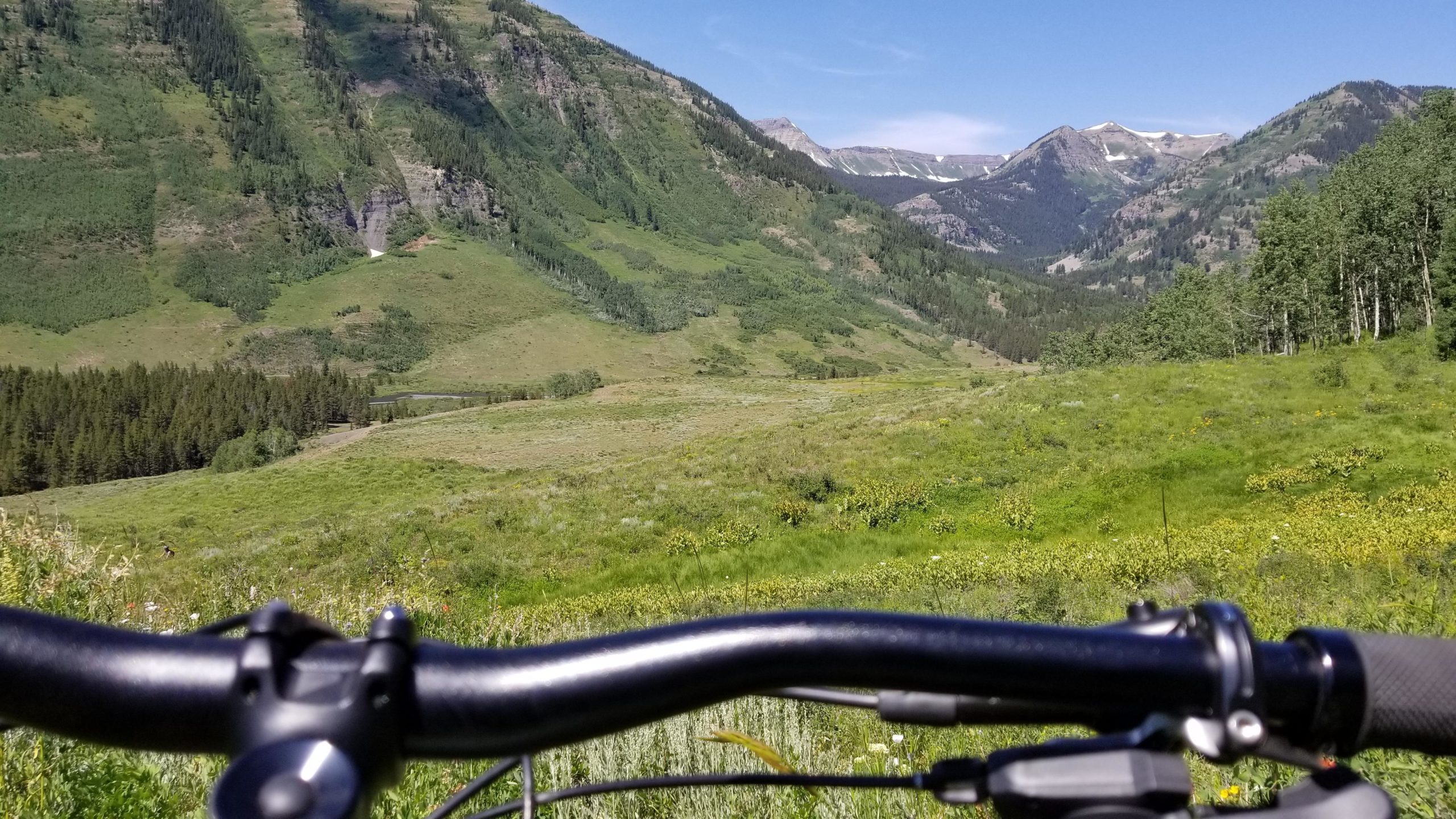 A view of a lush green valley and mountainous landscape taken from the perspective of a bicycle handlebar. The foreground features the bike's handlebars, while the background showcases rolling hills, dense trees, and distant snow-capped peaks under a clear blue sky. Lupine Trail mountain bike trail.