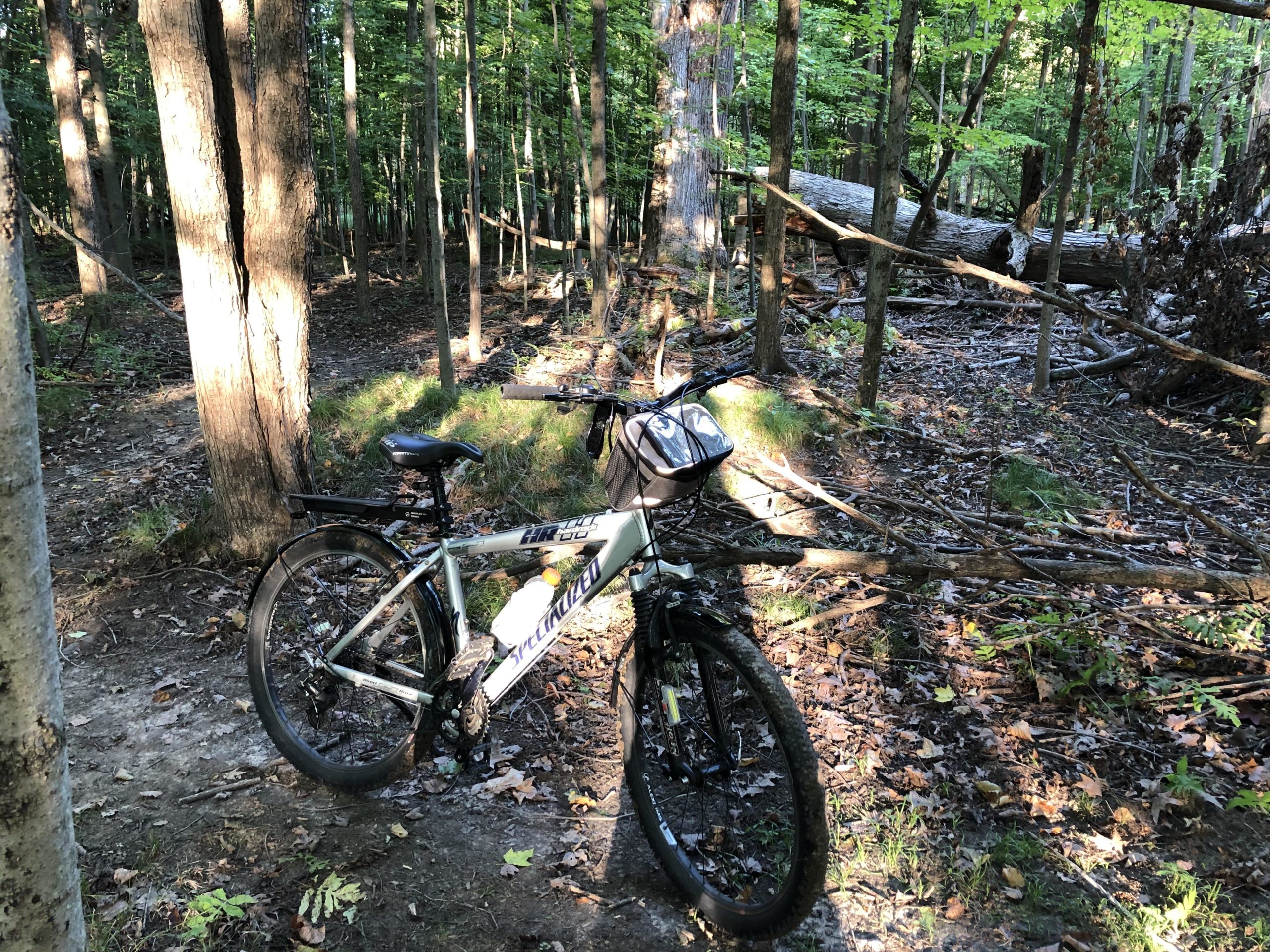 A mountain bike parked on a dirt trail surrounded by tall trees and greenery in a wooded area. Sunlight filters through the leaves, highlighting the bike and the forest floor covered in fallen leaves and twigs. Columbus County Park mountain bike trail.