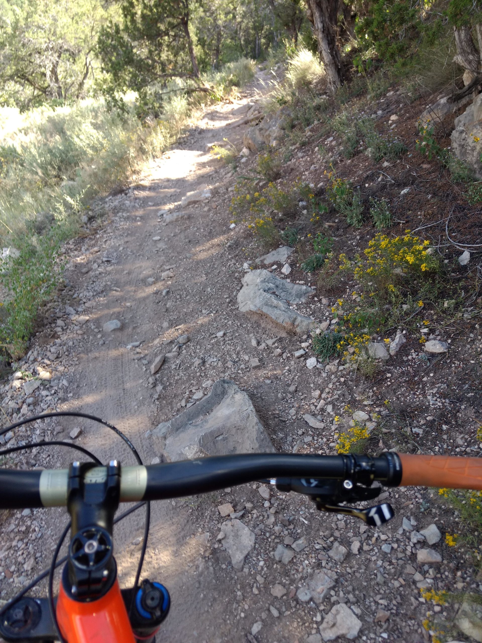 Alt tag: View from the handlebars of a mountain bike on a rocky dirt trail surrounded by greenery and wildflowers. Tunnel Canyon mountain bike trail.