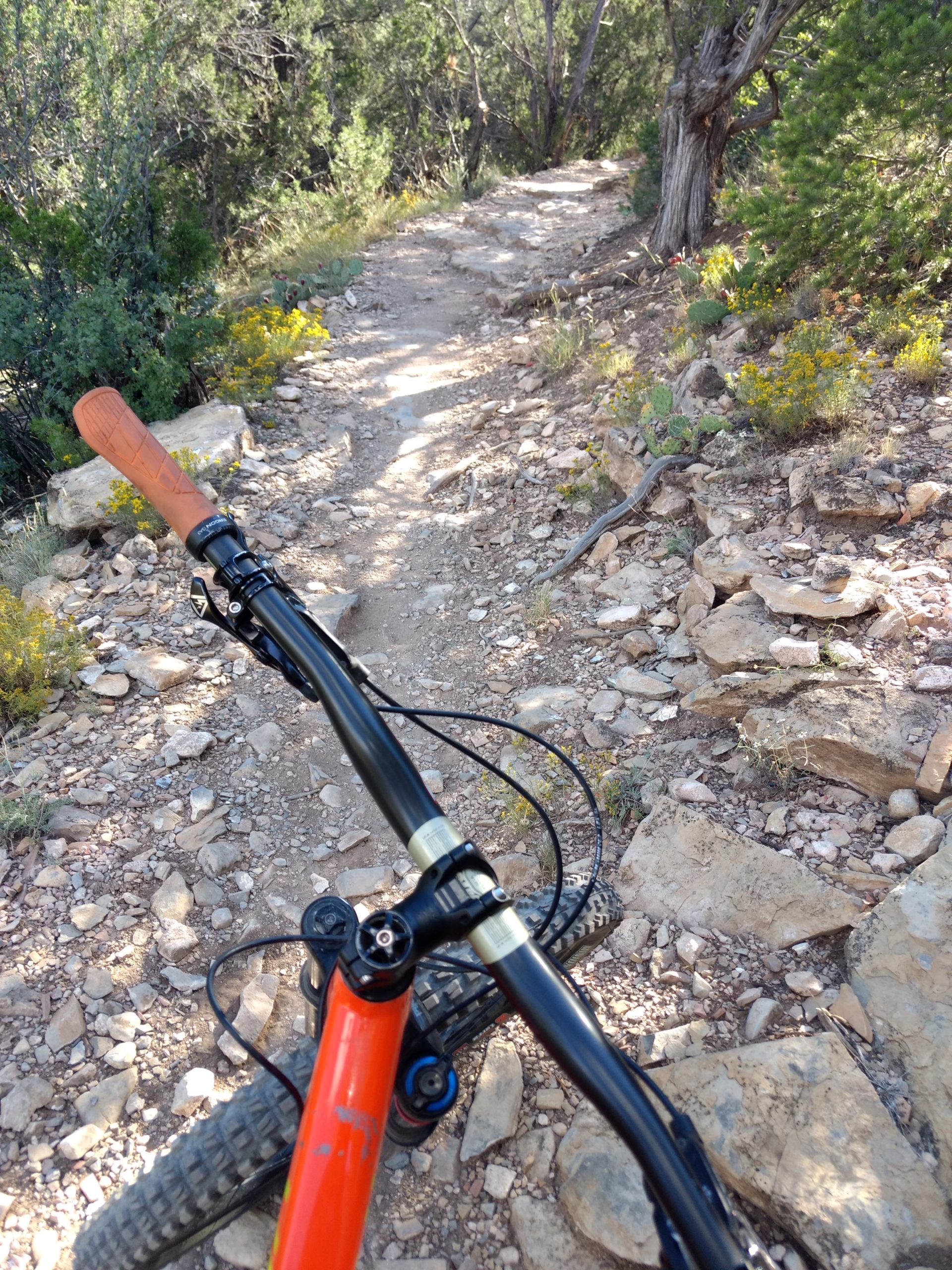 A mountain bike's handlebars are visible from a rider's point of view on a rocky trail surrounded by greenery. The path is narrow and uneven, featuring scattered stones and patches of dirt, suggesting a rugged outdoor biking experience. Tunnel Canyon mountain bike trail.
