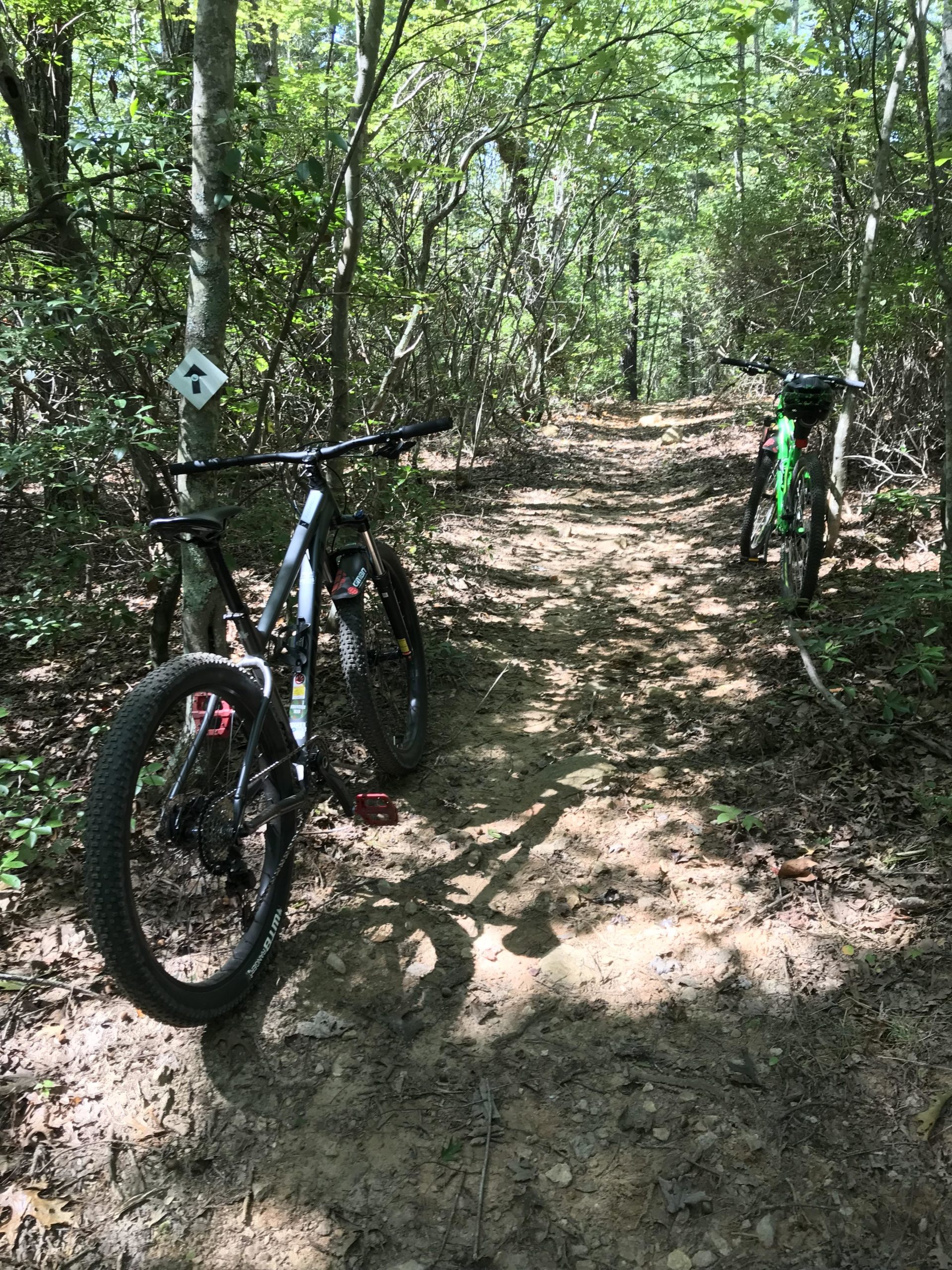 Two mountain bikes are parked beside a narrow dirt trail surrounded by dense greenery. Sunlight filters through the trees, illuminating the path and creating a serene atmosphere. A directional trail sign is visible on a nearby tree. Woolwine Trails [Shiners Revenge] mountain bike trail.
