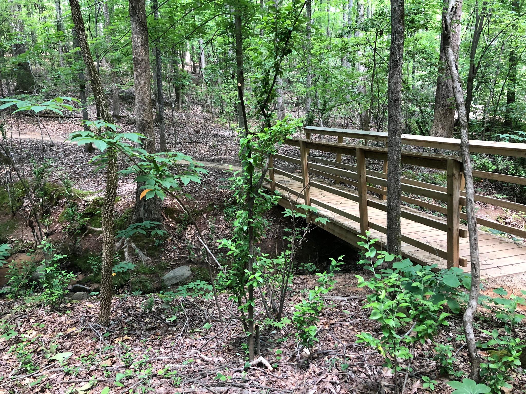 A wooden bridge spans a small creek, surrounded by lush green foliage and tall trees in a forest setting. The ground is covered with fallen leaves and small plants, creating a tranquil and natural atmosphere. Anne Springs Close Greenway mountain bike trail.