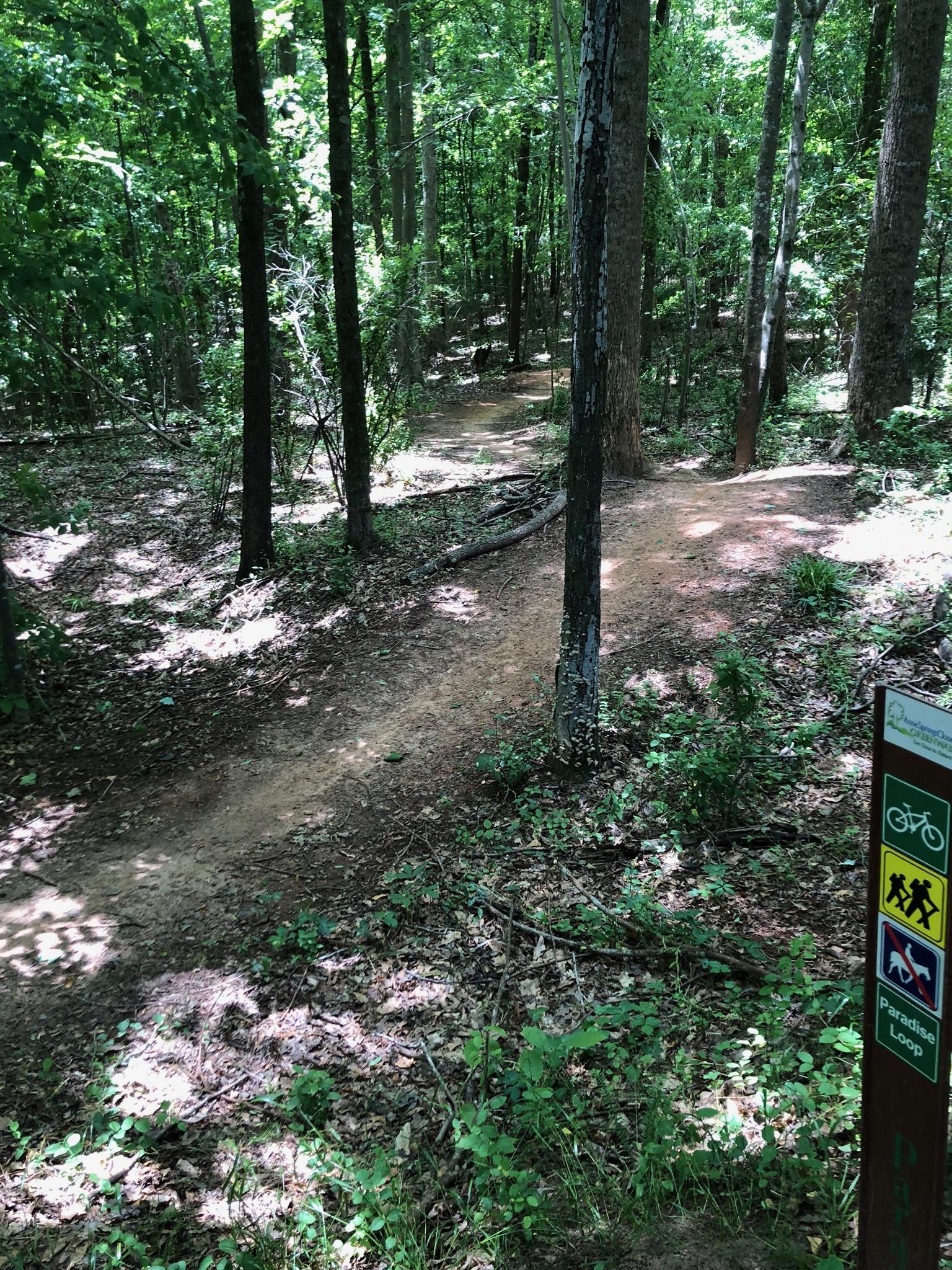 A dirt path winding through a lush green forest, surrounded by tall trees and underbrush. A wooden trail sign stands on the right, indicating the "Paradise Loop" and featuring icons for hiking and biking. Sunlight filters through the leaves, casting dappled shadows on the ground. Anne Springs Close Greenway mountain bike trail.