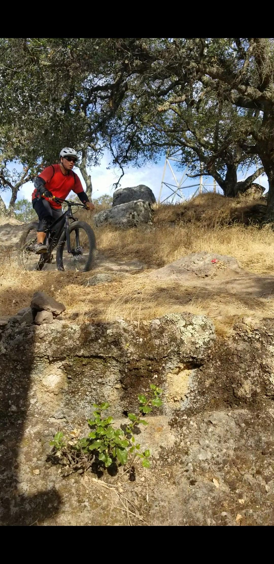 A mountain biker in a red shirt and white helmet rides on a rocky, rugged trail surrounded by trees and dry grass. The rider is focused and in motion, with a few large rocks and greenery visible in the foreground. Rockville Park mountain bike trail.