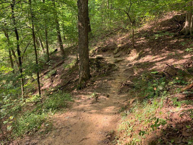 A narrow dirt hiking trail winds through a lush green forest, flanked by trees and undergrowth. The trail is slightly uneven with patches of rocks and roots visible, leading uphill into the wooded area. Sunlight filters through the leaves, illuminating the natural surroundings. Brown County Park mountain bike trail.