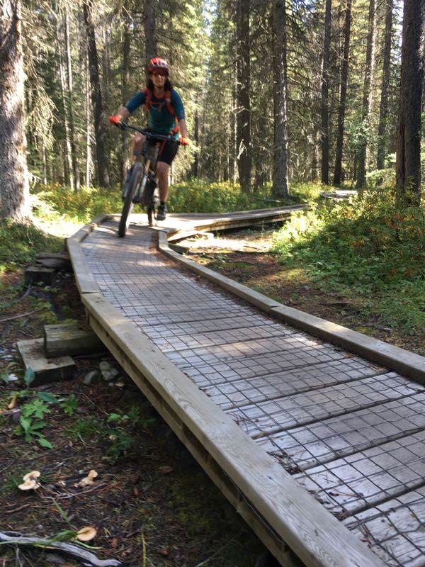 A person riding a mountain bike on a wooden trail in a forested area, surrounded by tall trees and greenery. The trail features a raised, narrow boardwalk. Sunlight filters through the trees, illuminating the path. Canmore Nordic Centre mountain bike trail.