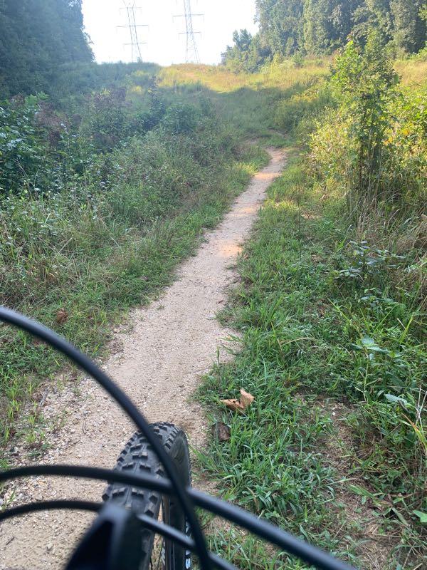 A view of a winding dirt path surrounded by tall grass and bushes, seen from the perspective of a cyclist. In the background, power lines are visible against a clear sky, indicating a rural setting. The photo captures the essence of outdoor biking and nature exploration. Rosaryville State Park mountain bike trail.