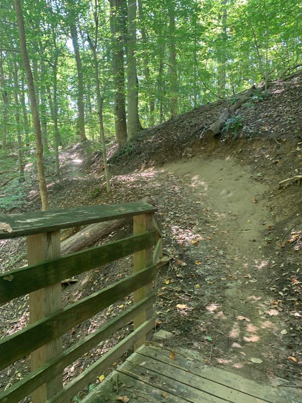 A wooded trail scene featuring a wooden bridge in the foreground, leading towards a dirt path that curves upwards into a lush green forest with trees and foliage. Sunlight filters through the leaves, illuminating the ground covered with fallen leaves and soil. Rosaryville State Park mountain bike trail.