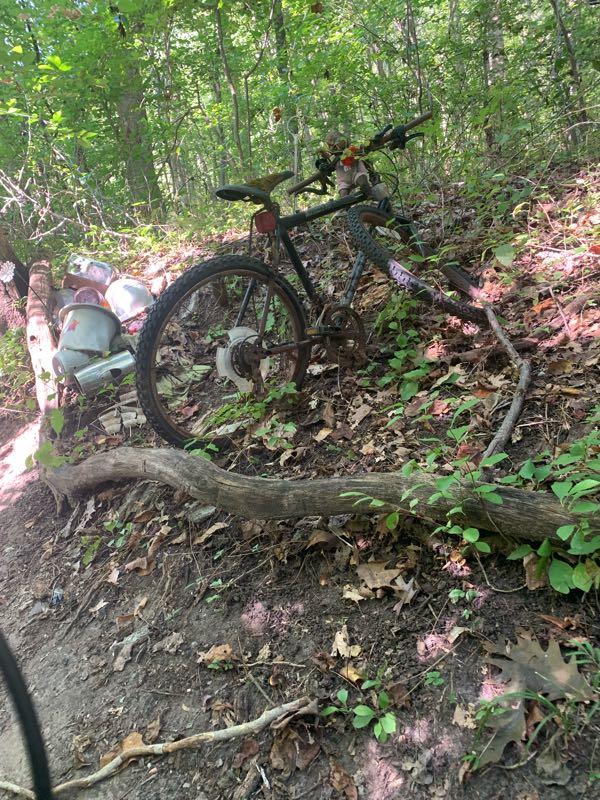 A mountain bike resting on a dirt path surrounded by greenery, with some fallen branches and leaves in the foreground. The bike appears to have a unique design, featuring visible gears and a mix of natural elements in the background. Rosaryville State Park mountain bike trail.