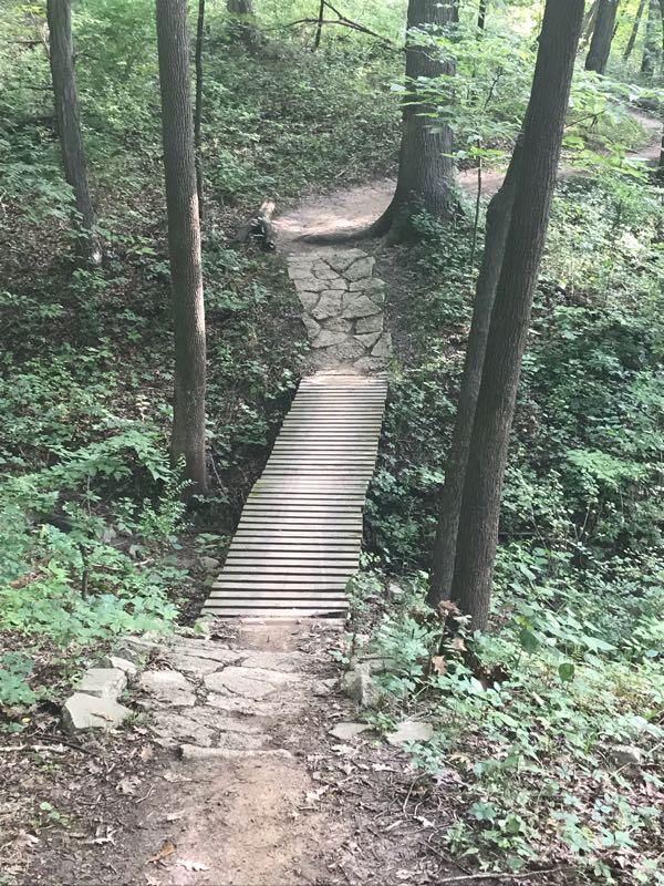 Wooden footbridge over a small ravine in a lush green forest, surrounded by trees and underbrush. The path leads up to the bridge, which has a mixture of wooden slats and stone. The Center Trails mountain bike trail.