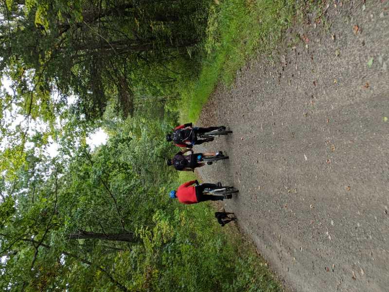 Four cyclists travel along a gravel path in a wooded area, with green trees lining both sides of the trail. A small dog walks alongside the group as they ride away from the camera. Stewart State Forest mountain bike trail.