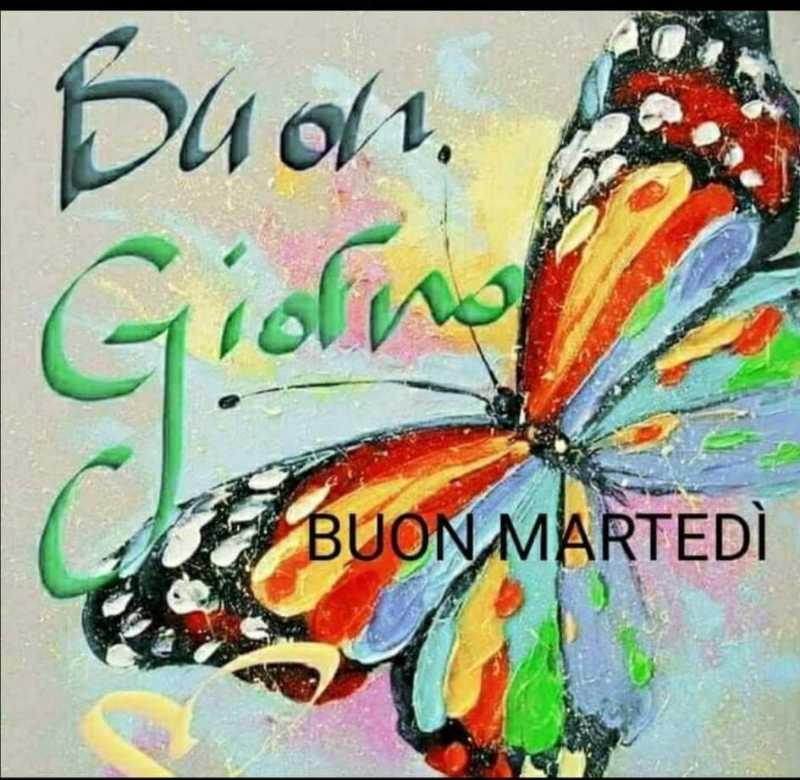A vibrant illustration featuring a colorful butterfly with orange, blue, and black patterns. The background has a soft pastel gradient. Text reads "Buon Giorno" and "BUON MARTEDÌ," adding a cheerful greeting. Fountainhead Regional Park mountain bike trail.
