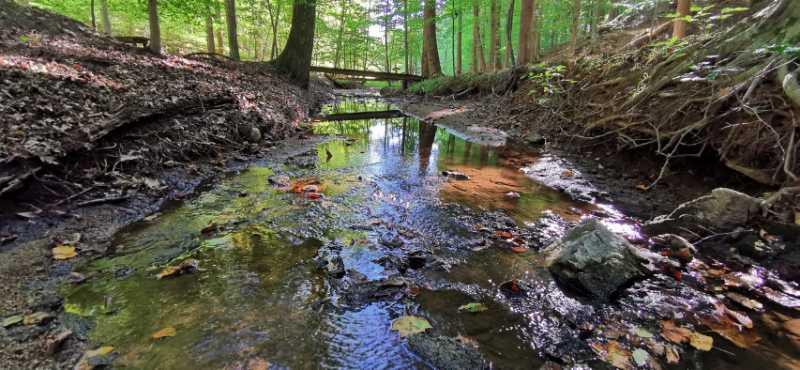 A serene forest scene showcasing a shallow stream with rocks and scattered autumn leaves, surrounded by lush greenery and tall trees. A wooden bridge is visible in the background, arching over the stream. The sunlight filters through the leaves, creating a peaceful atmosphere. Fountainhead Regional Park mountain bike trail.