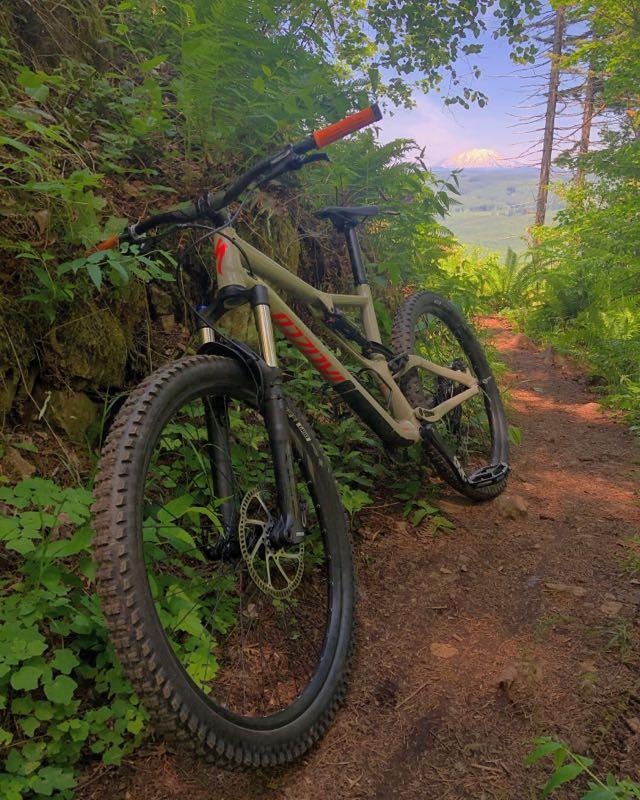 A mountain bike rests on a dirt trail surrounded by lush greenery and ferns, with a scenic view of rolling hills in the background under a clear sky. Bell Mountain Trail mountain bike trail.