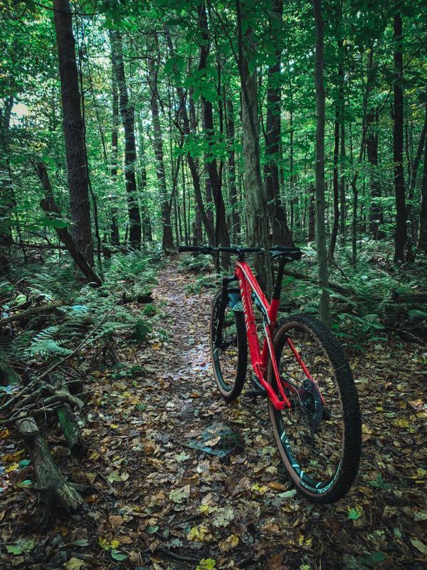 A red mountain bike is parked on a narrow trail surrounded by dense green foliage and tall trees in a forest. The ground is covered in fallen leaves, and the atmosphere is tranquil and lush, suggesting a serene outdoor setting for cycling. Morgan Hill mountain bike trail.