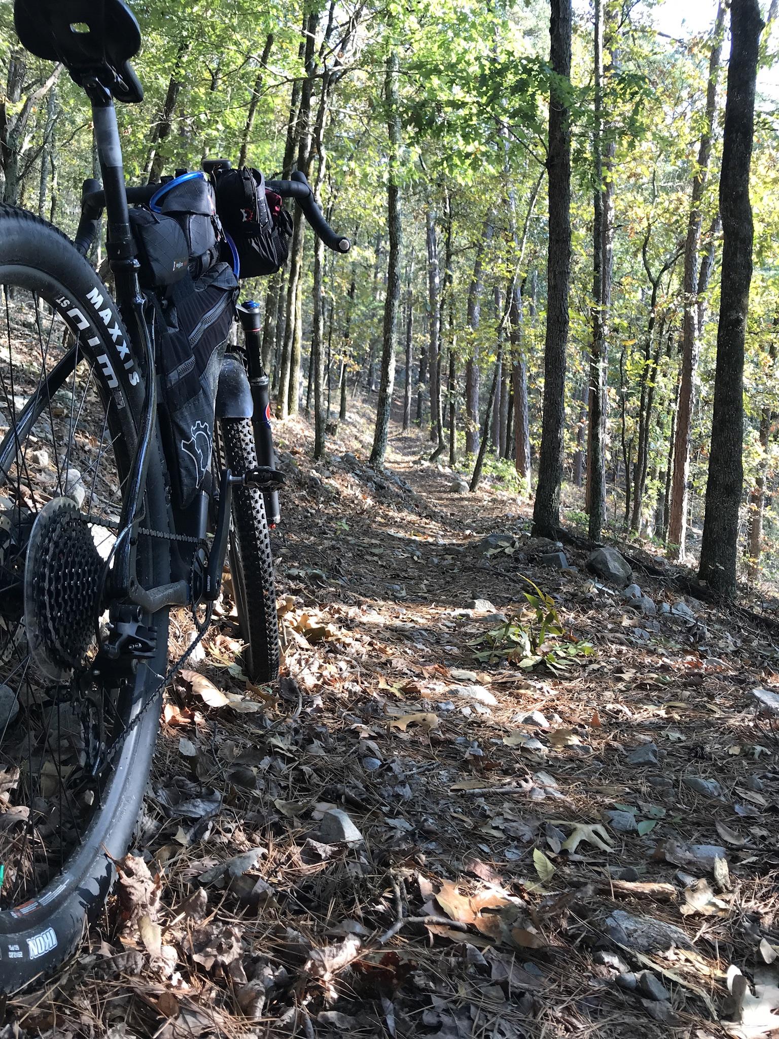 A mountain bike parked on a dirt trail surrounded by tall trees, with sunlight filtering through the leaves. The ground is covered in fallen leaves and pine needles, creating a natural, earthy atmosphere. Lake Ouachita Vista Trail (LOViT) mountain bike trail.