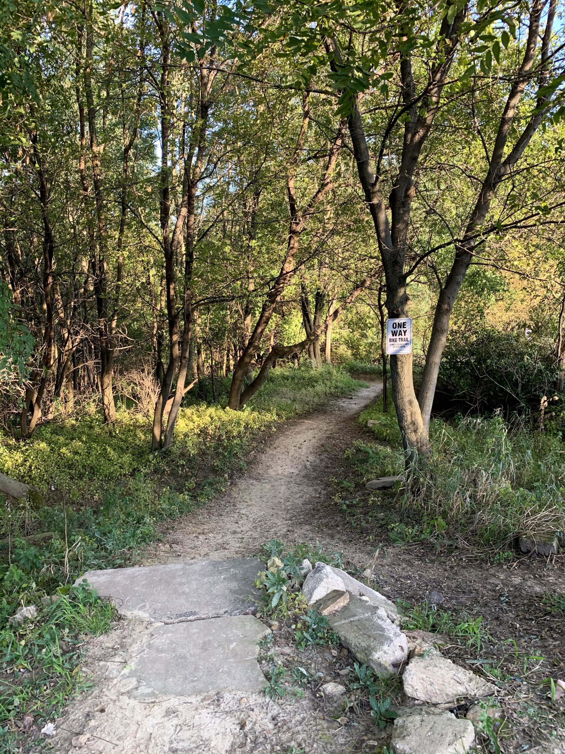 A winding dirt path through a lush forest, bordered by green foliage and trees. In the distance, a sign is visible on a tree, indicating "ONE WAY" for the trail. A small stone bridge crosses over a patch of grass before the path continues into the woods. Hixon Forest mountain bike trail.