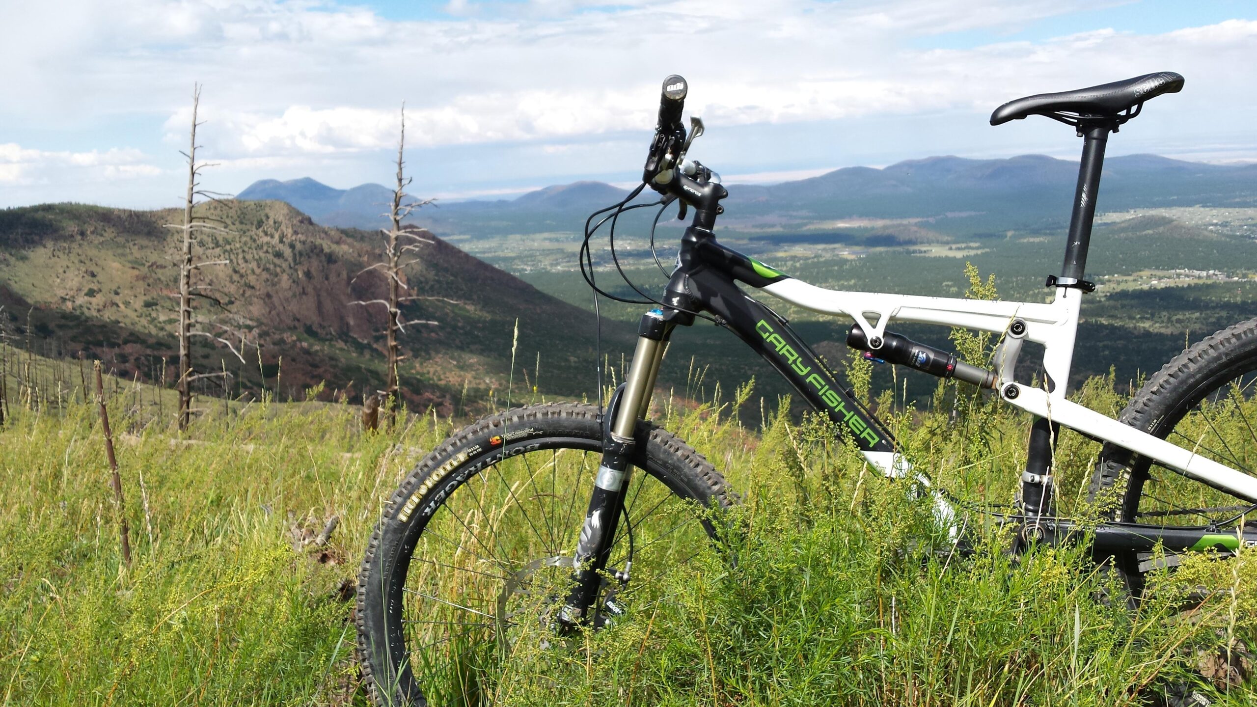 Gary Fisher Roscoe: A mountain bike rests on a grassy hilltop, with a scenic view of rolling hills and mountains in the background under a partly cloudy sky.