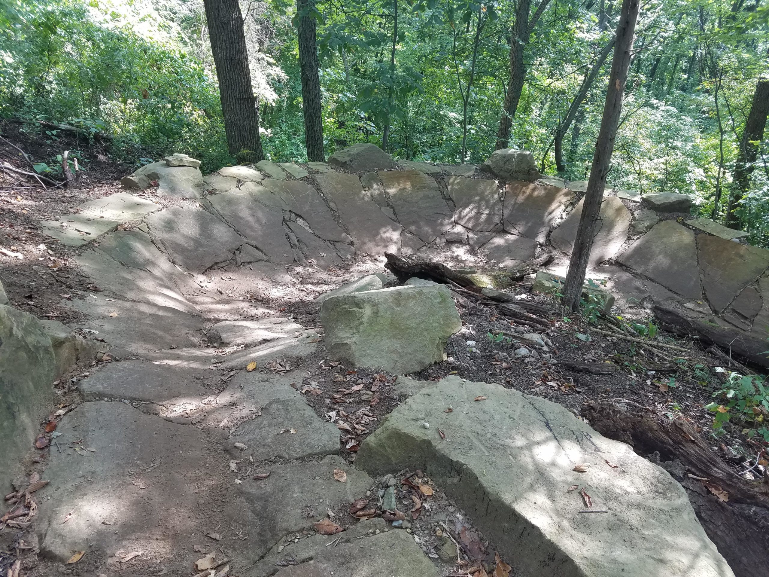 A rocky, circular depression in the ground surrounded by trees, with sunlight filtering through the foliage. The area is covered in various sized stones and patches of dirt, indicating a natural setting in the woods. DTE Energy Foundation Trail mountain bike trail.