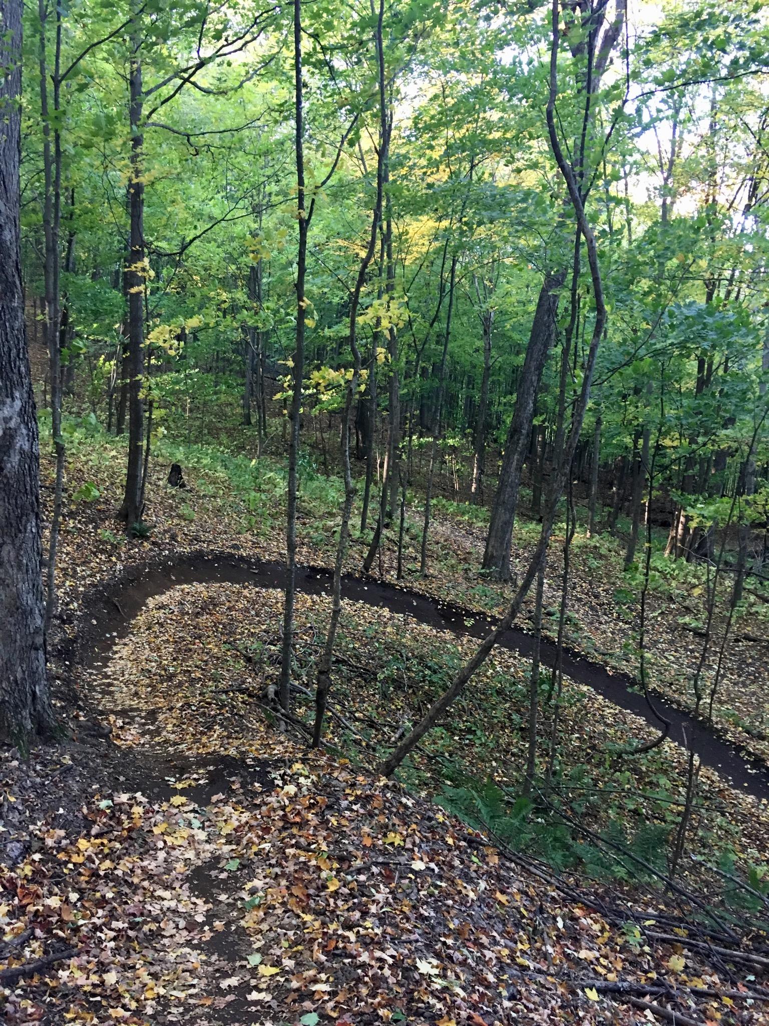 A winding dirt trail meanders through a lush forest of green trees, with scattered autumn leaves covering the ground. Sunlight filters through the foliage, creating a serene atmosphere in the woods. Sentiers de l'Abbaye d'Oka mountain bike trail.