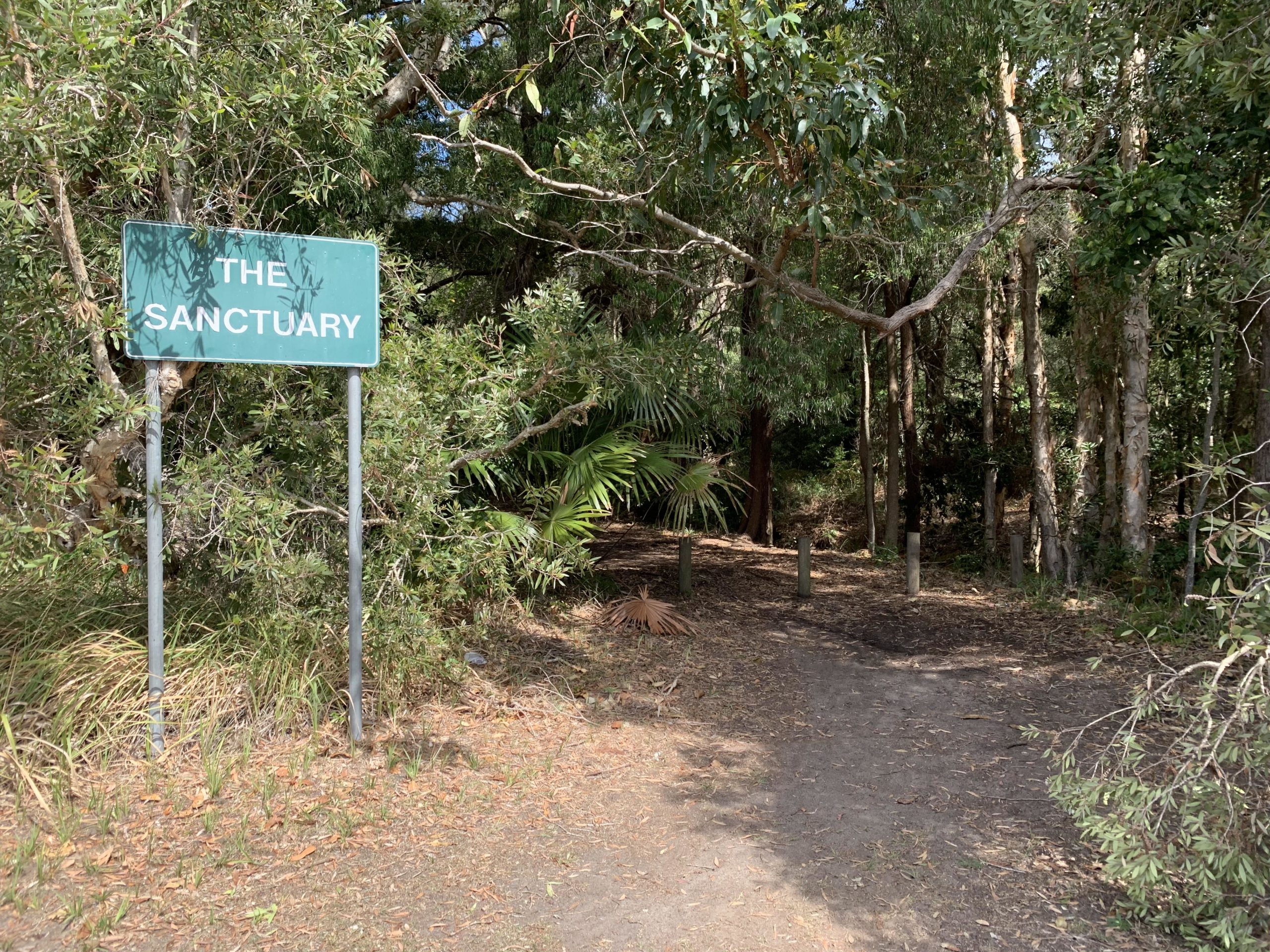 A sign reading "The Sanctuary" is positioned at the entrance to a wooded path surrounded by lush greenery and trees. The scene captures a serene and natural environment, inviting visitors to explore the area further. The Sanctuary mountain bike trail.