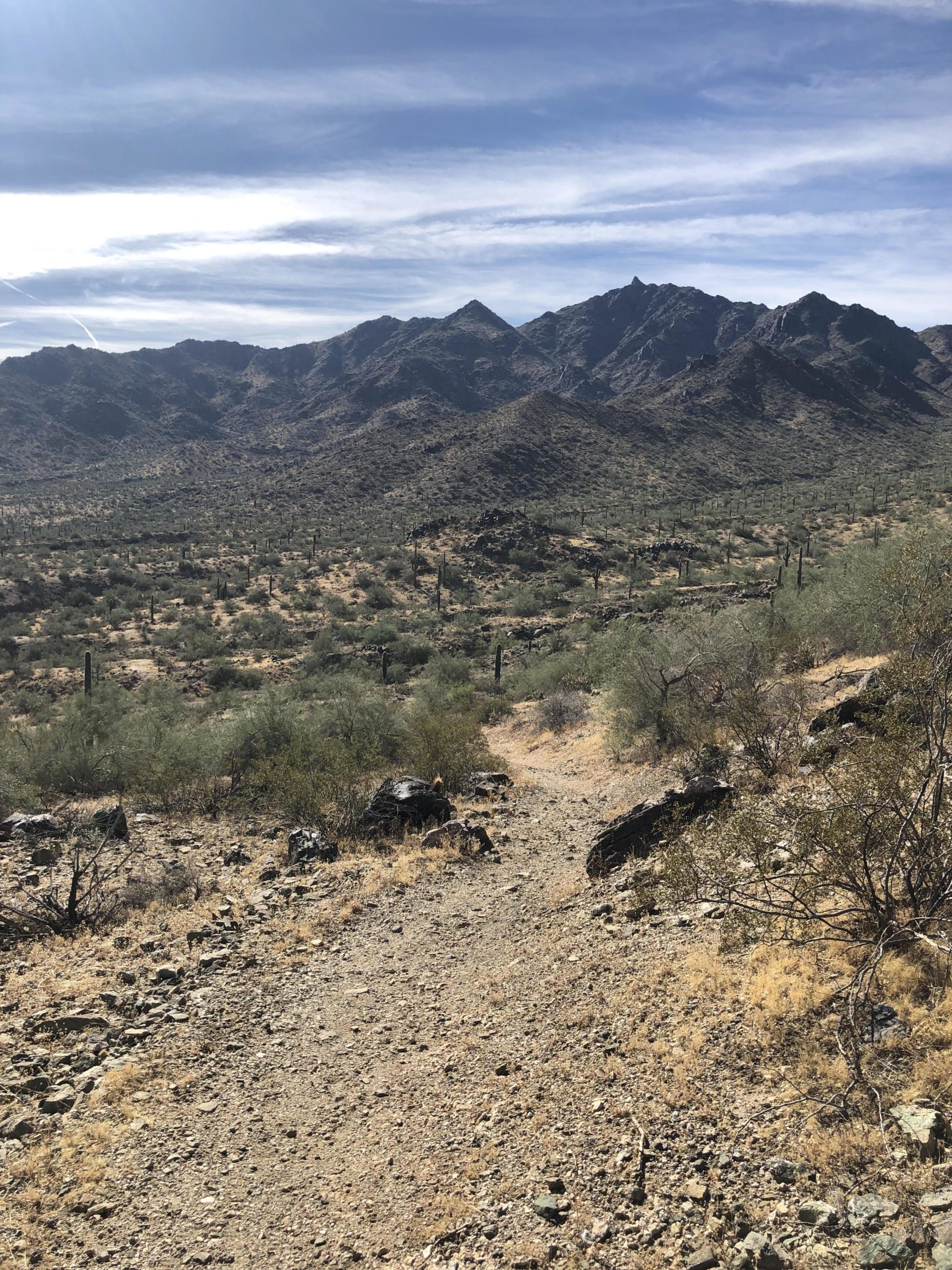 A rocky trail leads through a desert landscape with scattered shrubs and cacti, set against a backdrop of rugged mountains under a partly cloudy sky. Estrella Mountain Park mountain bike trail.