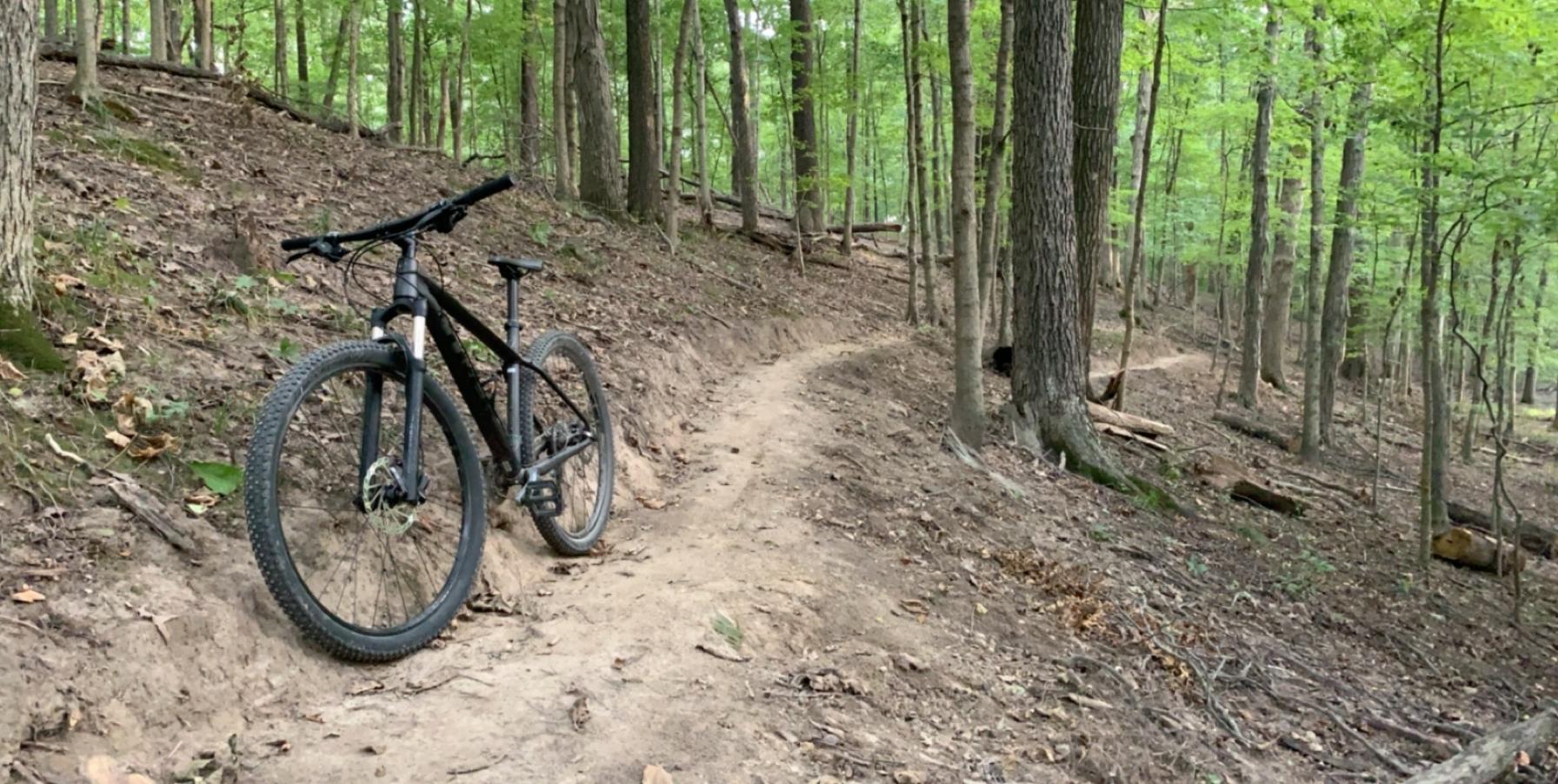 Trek X Caliber 7: A black mountain bike is parked on a dirt trail surrounded by dense green forest. The path winds through the trees, with sunlight filtering through the leaves. The ground is covered in fallen leaves and earthy tones, suggesting a natural outdoor setting ideal for biking.