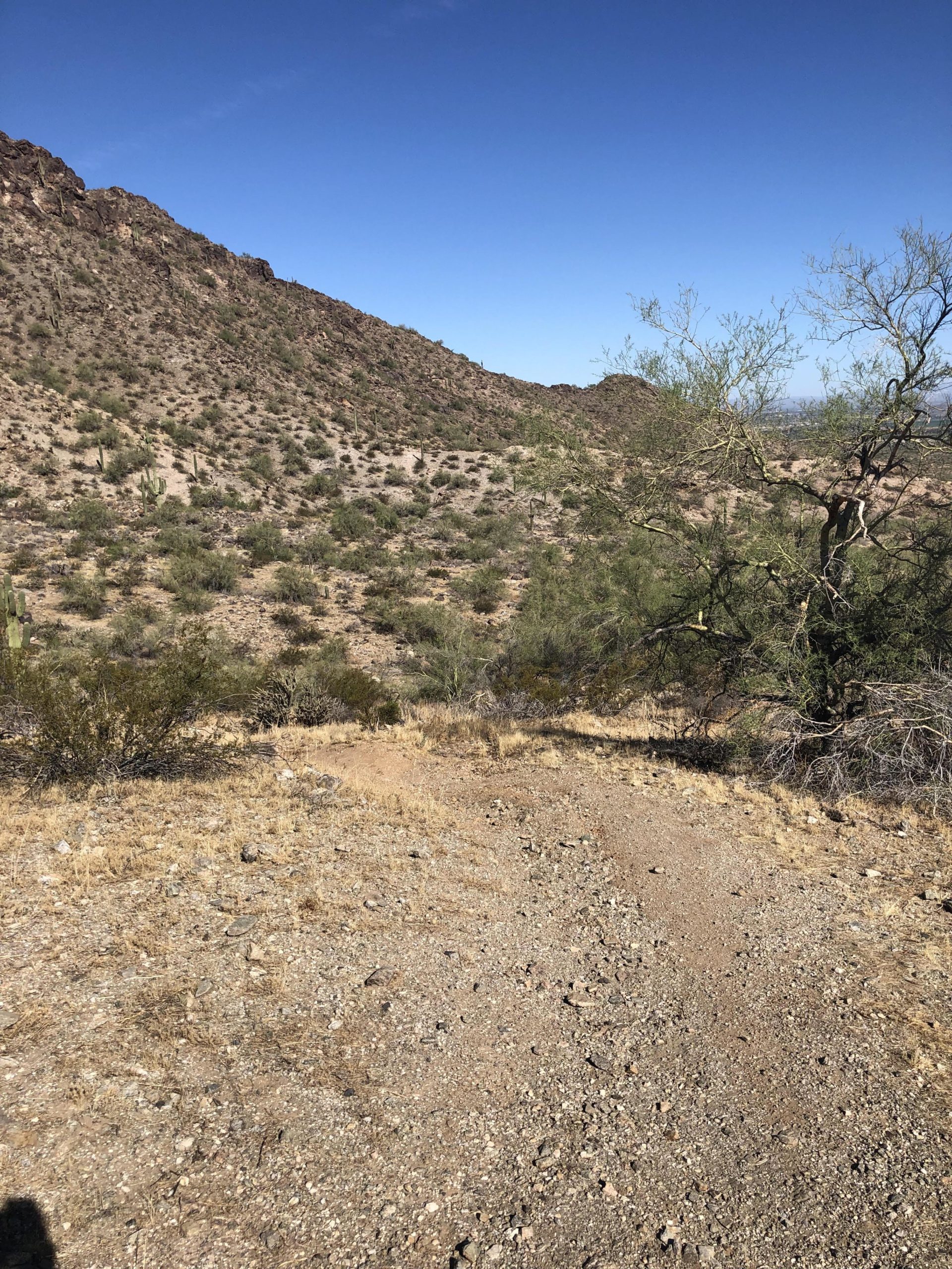 A dry, rugged landscape showing a rocky incline with sparse vegetation, including cacti and shrubs. The sky is clear and blue, indicating a sunny day in a desert environment. Estrella Mountain Park mountain bike trail.