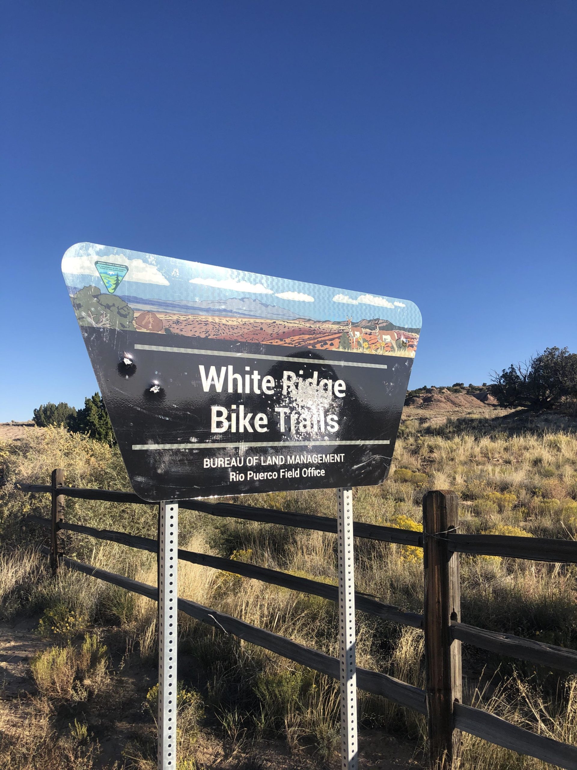 Sign for White Ridge Bike Trails, featuring text indicating it is managed by the Bureau of Land Management, Rio Puerco Field Office, set against a clear blue sky and surrounded by natural vegetation and a wooden fence. White Ridge Bike Trails mountain bike trail.