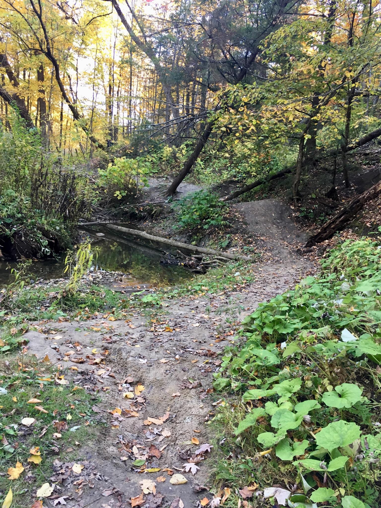 A scenic view of a woodland trail at the edge of a creek, surrounded by vibrant autumn foliage. The path is sandy with fallen leaves scattered around, leading to the water, while various shrubs and plants can be seen along the trail. Sunlight filters through the trees, creating a serene and colorful atmosphere. Sentiers de l'Abbaye d'Oka mountain bike trail.