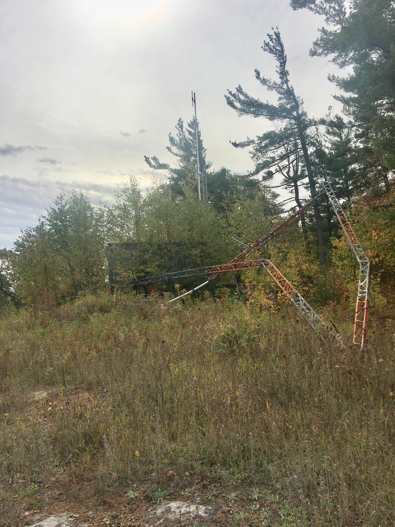 An overgrown field with tall grasses and scattered shrubs, featuring a partially collapsed radio tower leaning to one side amidst trees and a cloudy sky. Dacre Heights mountain bike trail.