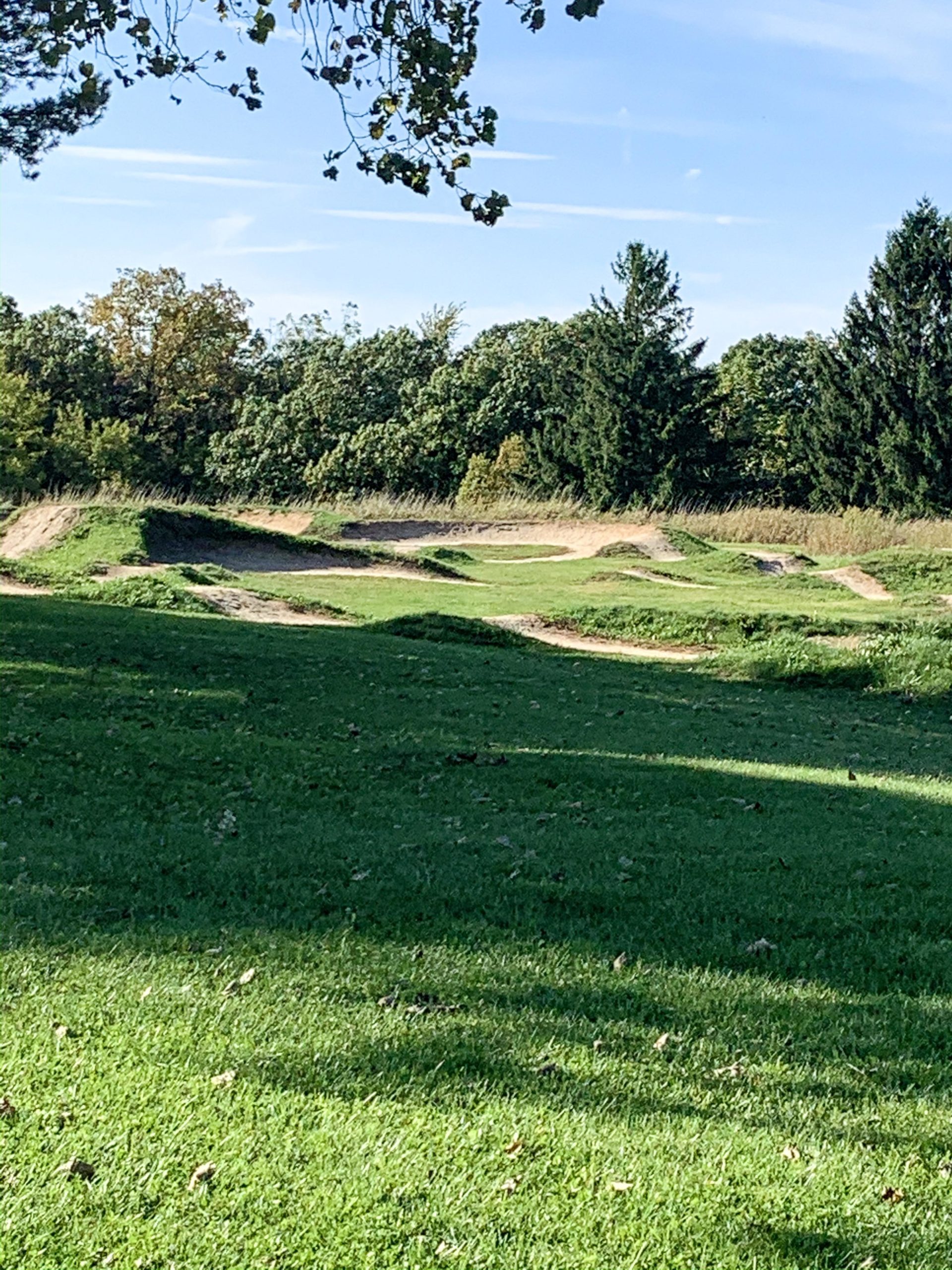 A grassy area featuring a dirt bike track with small hills and mounds, surrounded by trees under a clear blue sky. The scene captures a tranquil outdoor environment suitable for biking or recreational activities. Hixon Forest mountain bike trail.
