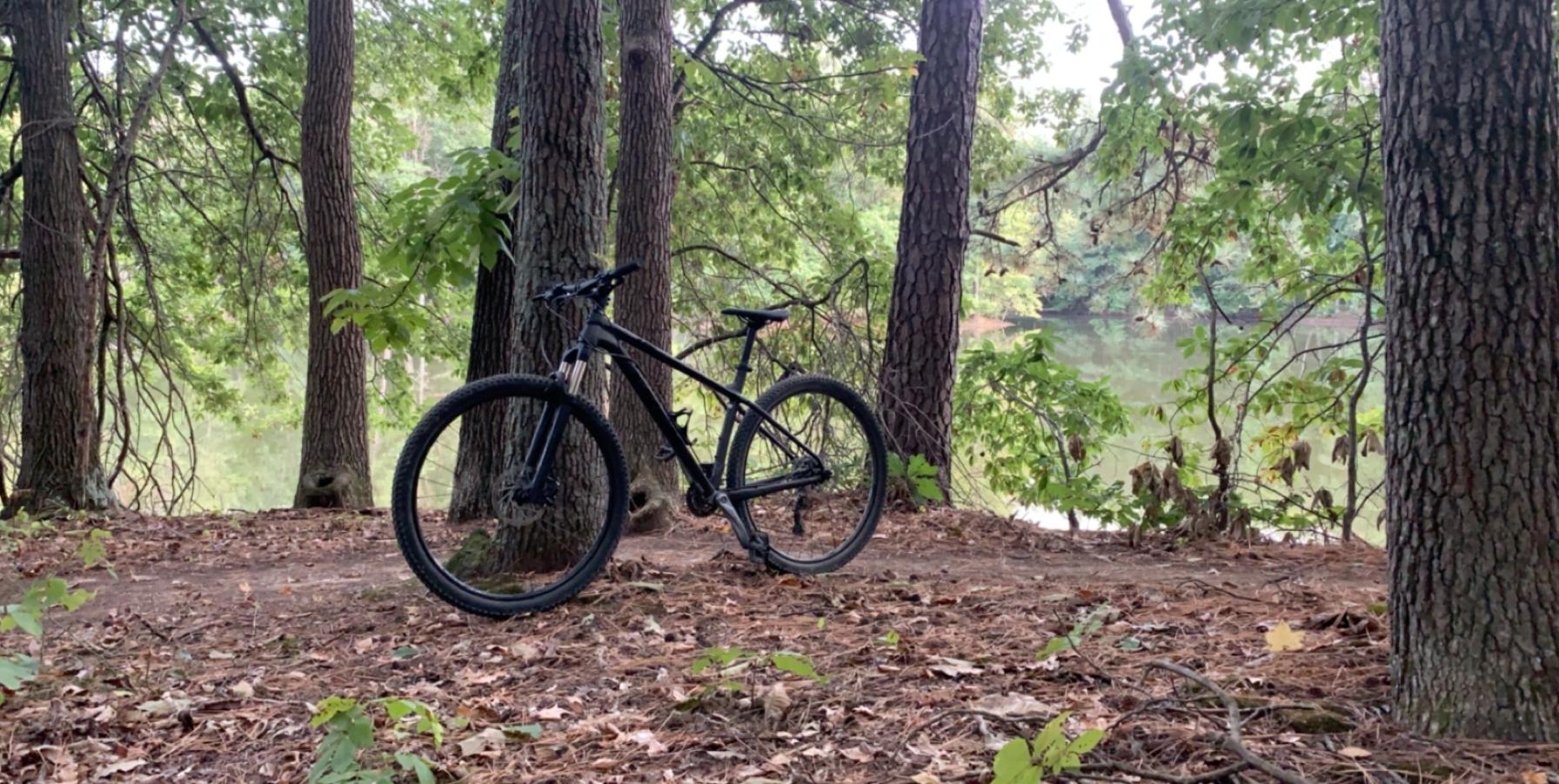 Trek X Caliber 7: A mountain bike leaning against a tree in a wooded area, with a calm river visible in the background. The ground is covered in leaves and pine needles, and various trees provide a scenic backdrop.