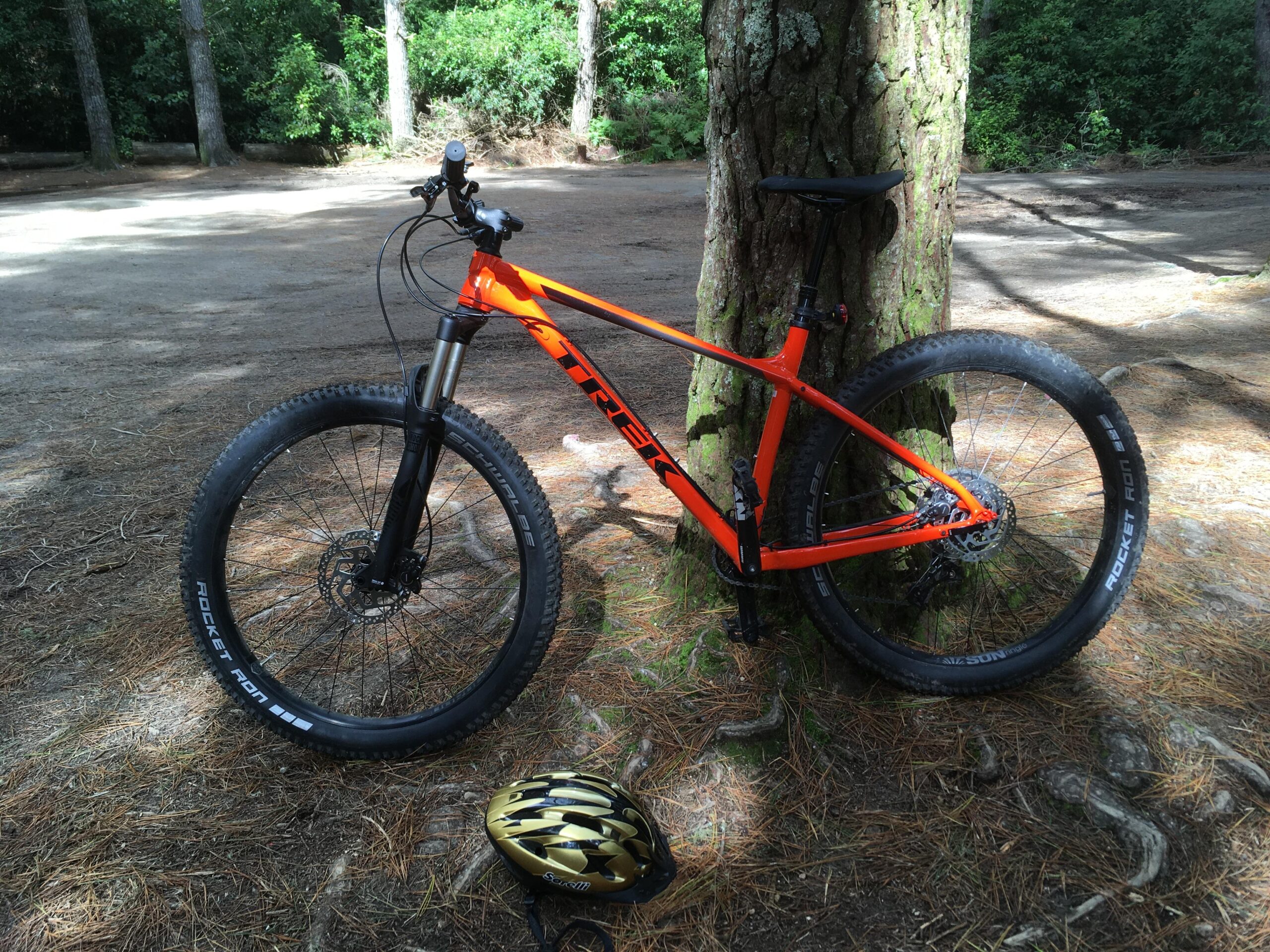 Trek Roscoe 8: Alt text: A bright orange mountain bike leaning against a tree in a wooded area, with forest floor covered in pine needles and a black and gold helmet lying nearby.