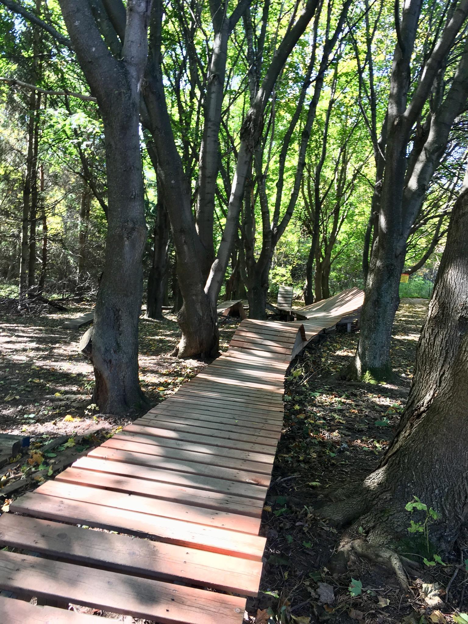 A wooden pathway meanders through a lush forest, surrounded by tall trees and dappled sunlight. The path is composed of broad wooden planks, with fallen leaves scattered on the ground, creating a serene and natural setting. Sentiers de l'Abbaye d'Oka mountain bike trail.