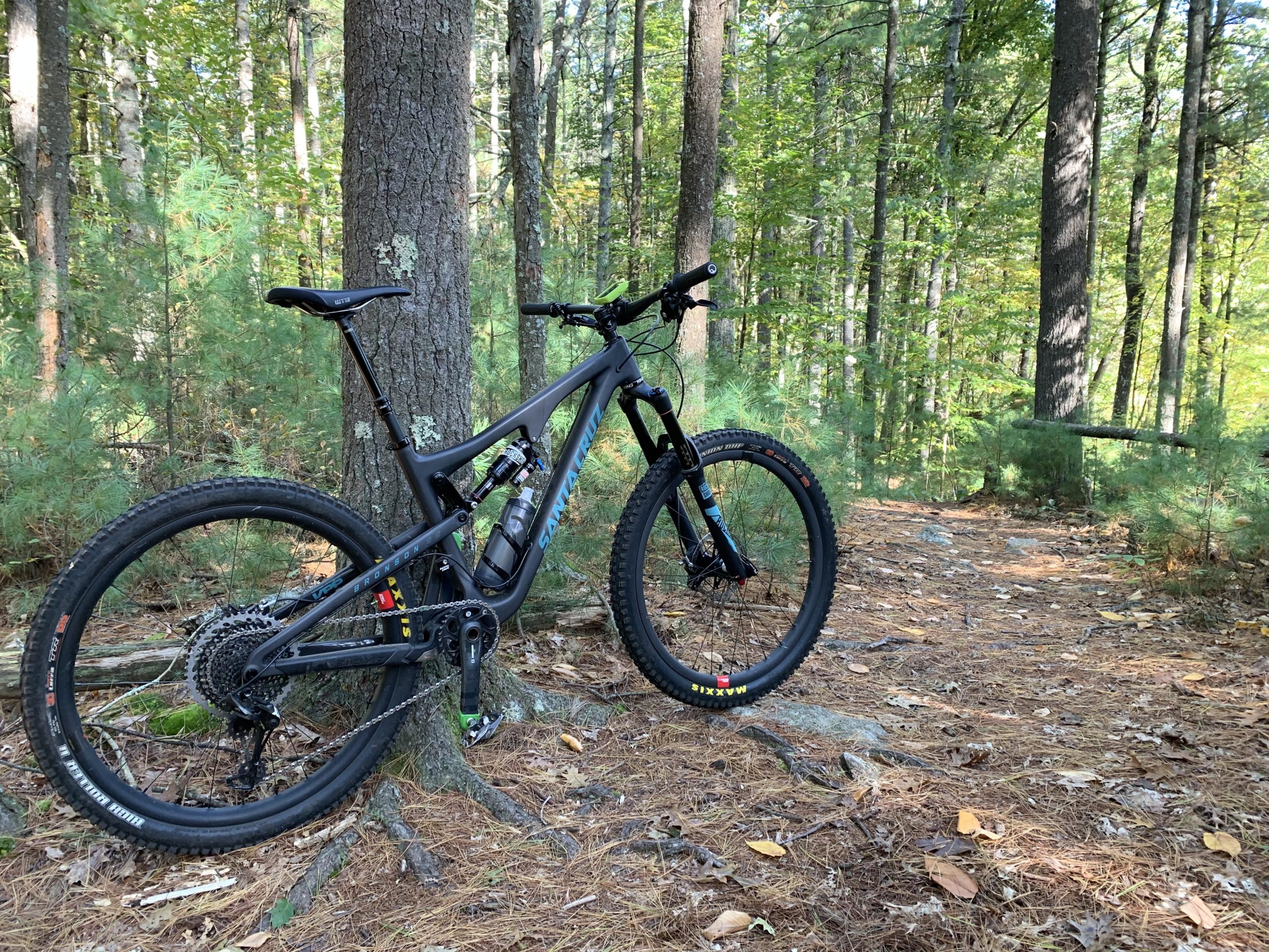 A black mountain bike leaning against a tree in a forested area, surrounded by pine trees and scattered leaves on the forest floor. The scene depicts a natural, outdoor environment suitable for biking. F. Gilbert Hills State Park mountain bike trail.
