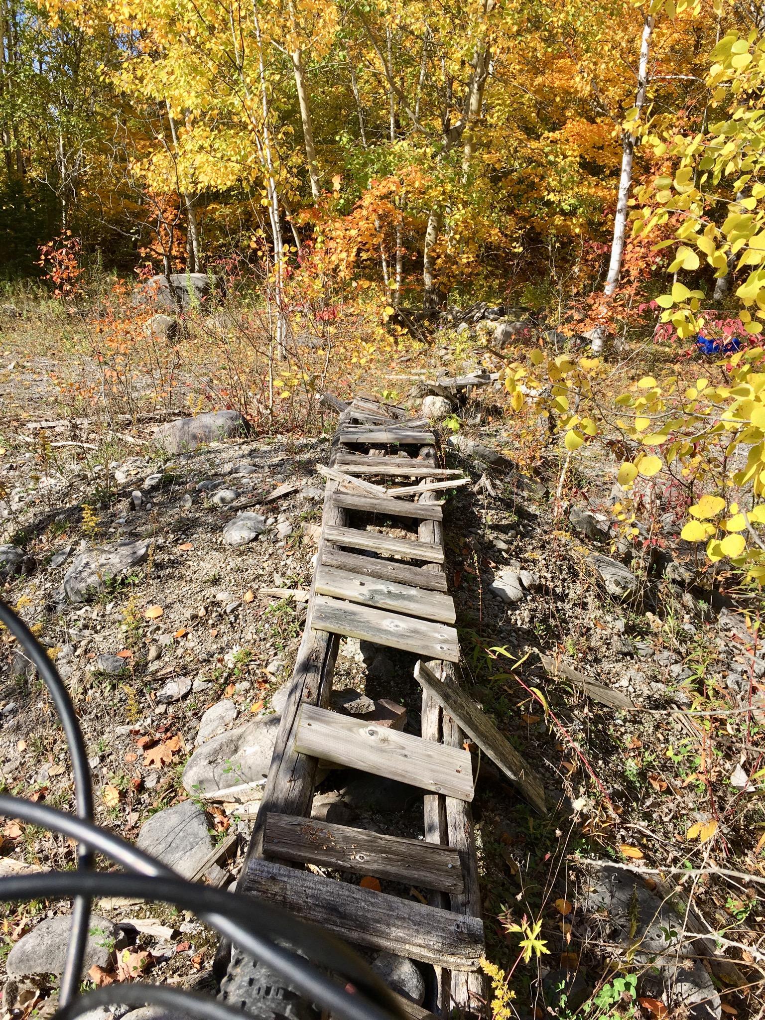A rustic wooden plank pathway crosses a rocky area, surrounded by vibrant autumn foliage in shades of orange and yellow. The scene captures the essence of nature during fall, with trees in the background displaying colorful leaves. Charlottenburg Forest mountain bike trail.