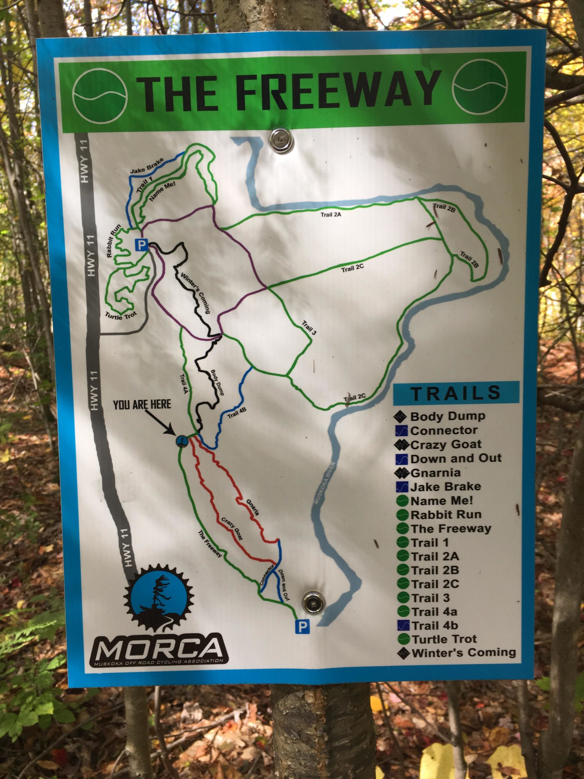 Trail map sign for "The Freeway," displaying various biking and hiking trails, including names such as "Body Dump," "Rabbit Run," and "Turtle Trot." The map indicates the current location with a marker and shows nearby highways and trail connections, created by the Morsca (Muskoka Off Road Cycling Association). Lush trees and autumn foliage are visible in the background. Bracebridge Resource Management Centre mountain bike trail.