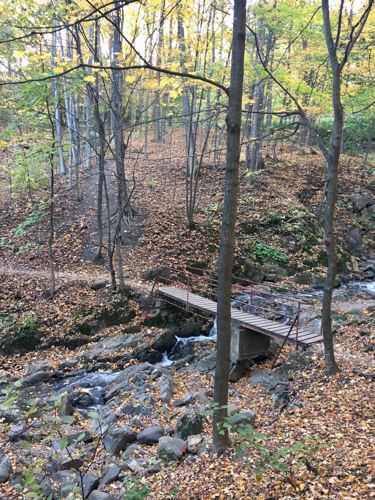 A serene forest scene featuring a wooden bridge crossing over a small stream, surrounded by rocks and colorful autumn foliage. The ground is covered with fallen leaves, and trees in various shades of yellow and green create a peaceful atmosphere.  Sentiers de l'Abbaye d'Oka mountain bike trail.
