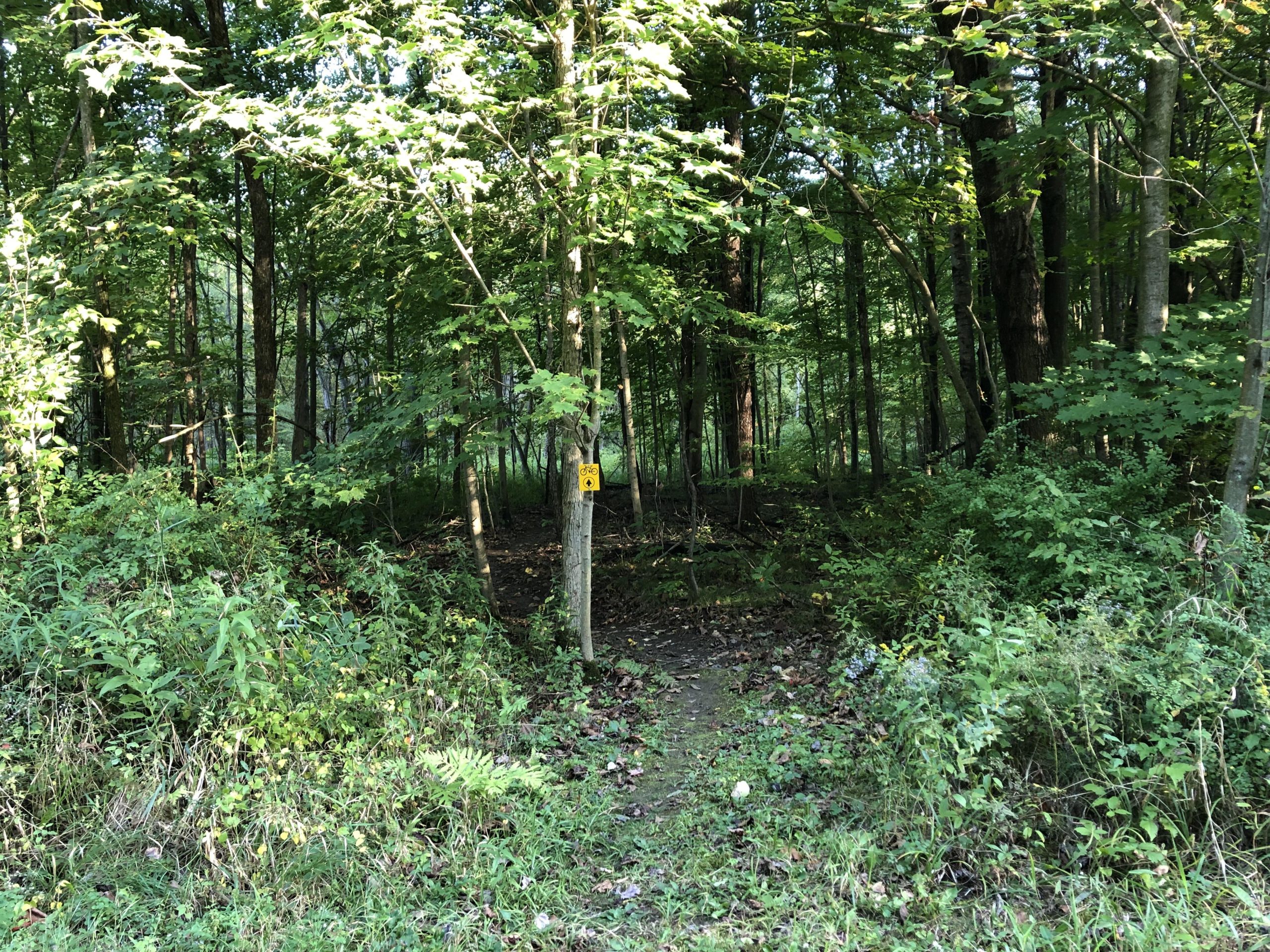A wooded area with dense green foliage and tall trees, featuring a narrow dirt path leading into the forest. A yellow sign is visible on a tree trunk, indicating the entrance to the trail. Sunlight filters through the leaves, creating a serene atmosphere. Columbus County Park mountain bike trail.