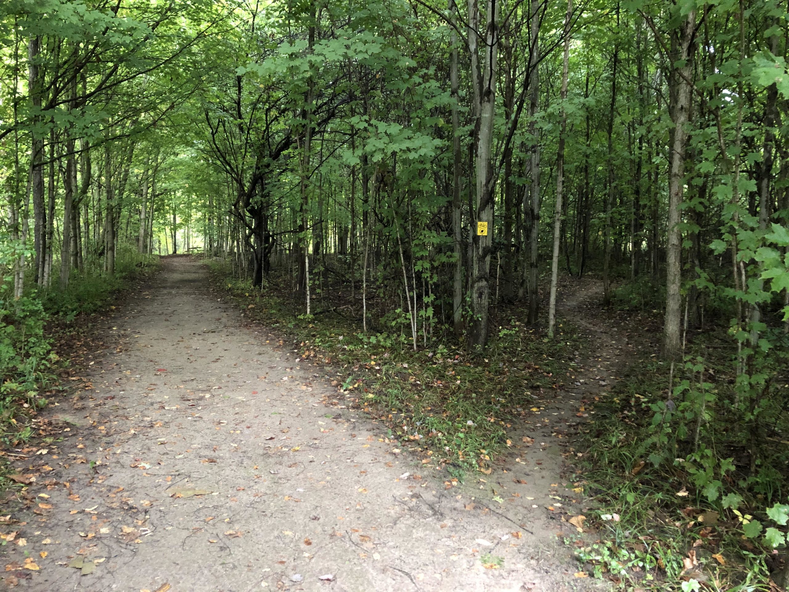 A dirt path splitting into two trails surrounded by lush green trees, with fallen leaves scattered along the ground. The left trail appears wider and more defined, while the right trail is narrower and winds deeper into the forest. A small yellow trail marker is visible on a tree. Columbus County Park mountain bike trail.