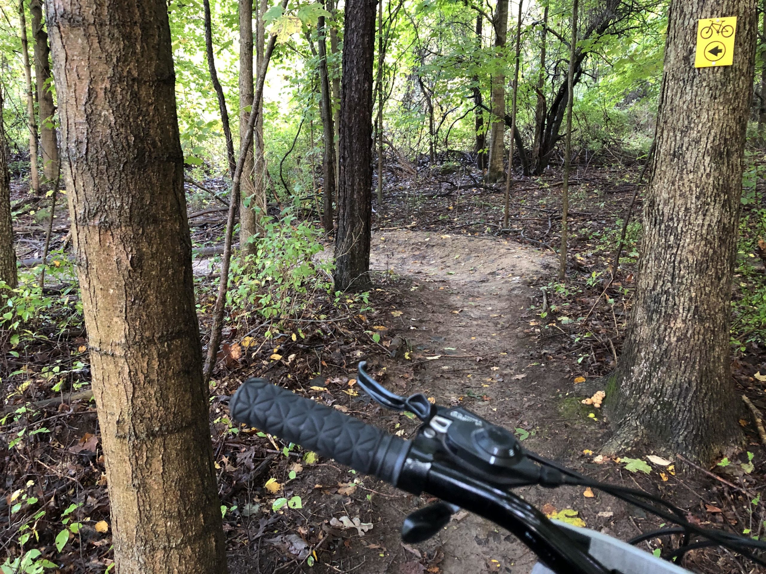 A close-up view of a bicycle handlebar on a dirt path winding through a lush green wooded area, with trees on either side. A yellow sign with a bicycle symbol indicating the trail is visible on a nearby tree. The path is surrounded by fallen leaves and foliage, suggesting a natural outdoor environment. Columbus County Park mountain bike trail.