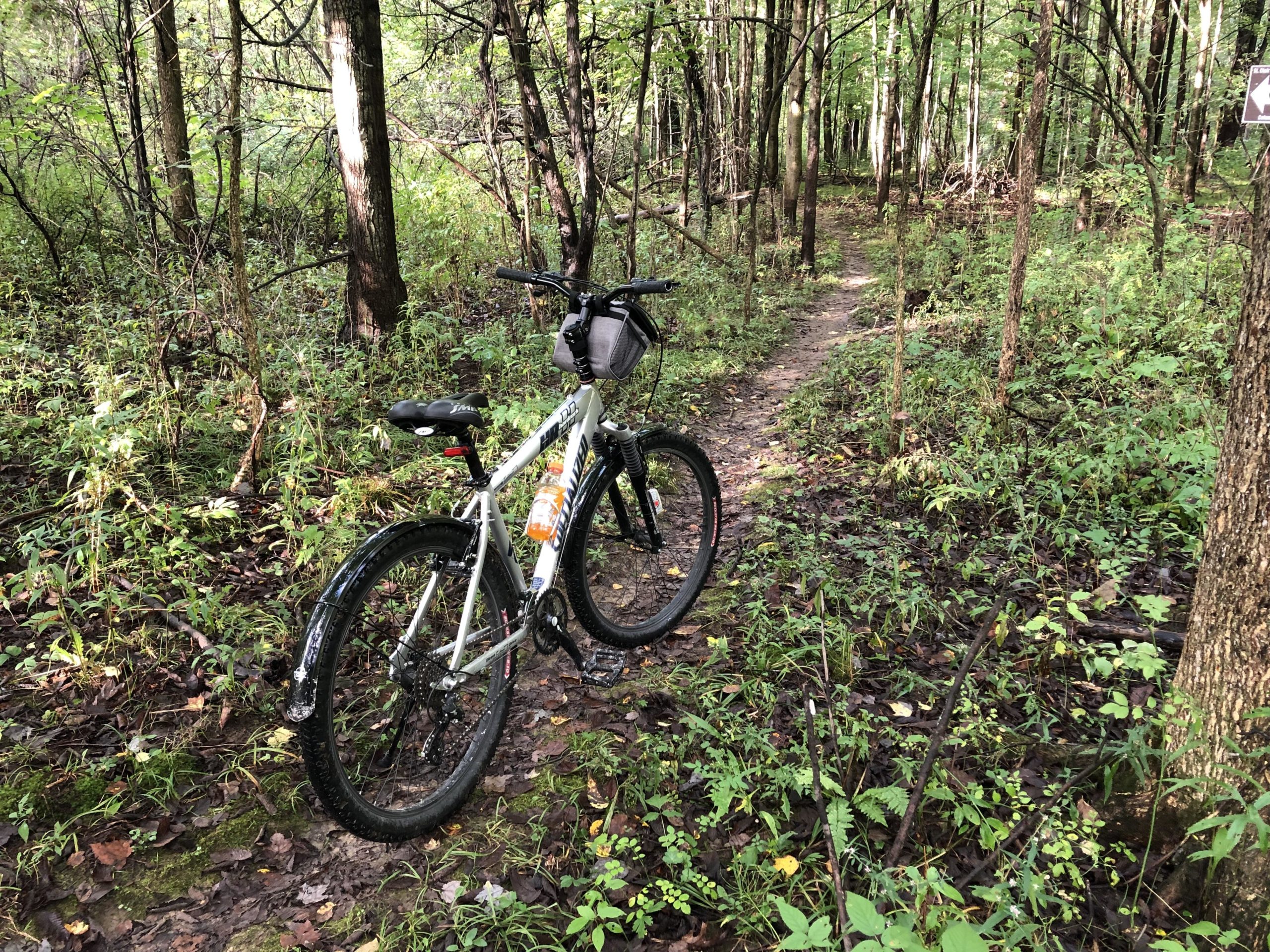 A mountain bike parked on a leafy trail in a dense forest, surrounded by green foliage and trees. The path is winding and partially covered with fallen leaves, indicating a natural, unpaved biking route. Columbus County Park mountain bike trail.