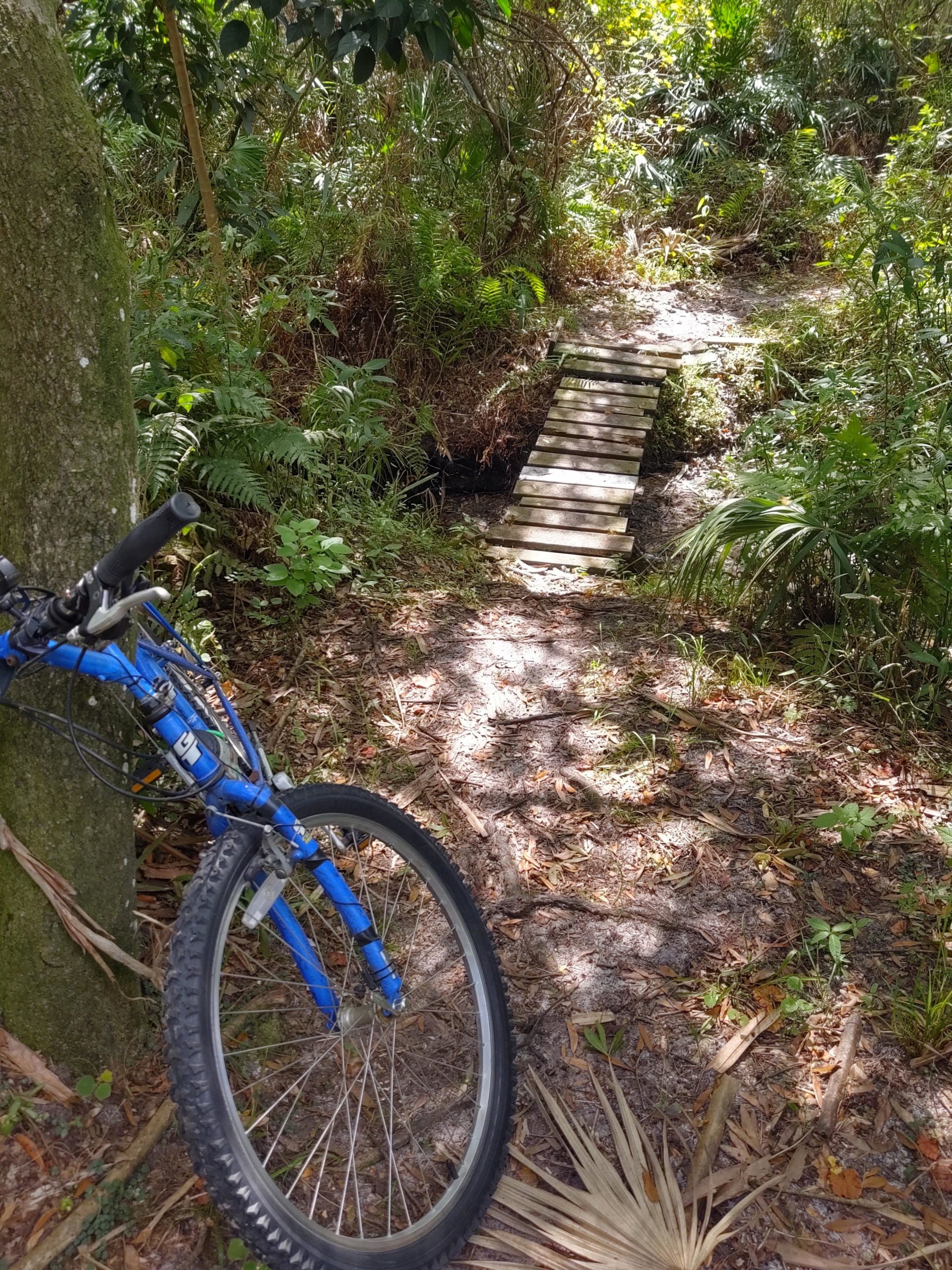 A blue mountain bike leaned against a tree in a dense, green forest setting, with a small wooden bridge crossing a creek in the background. The ground is covered with leaves and underbrush, and sunlight filters through the foliage. North Port Mountain Bike Trails mountain bike trail.