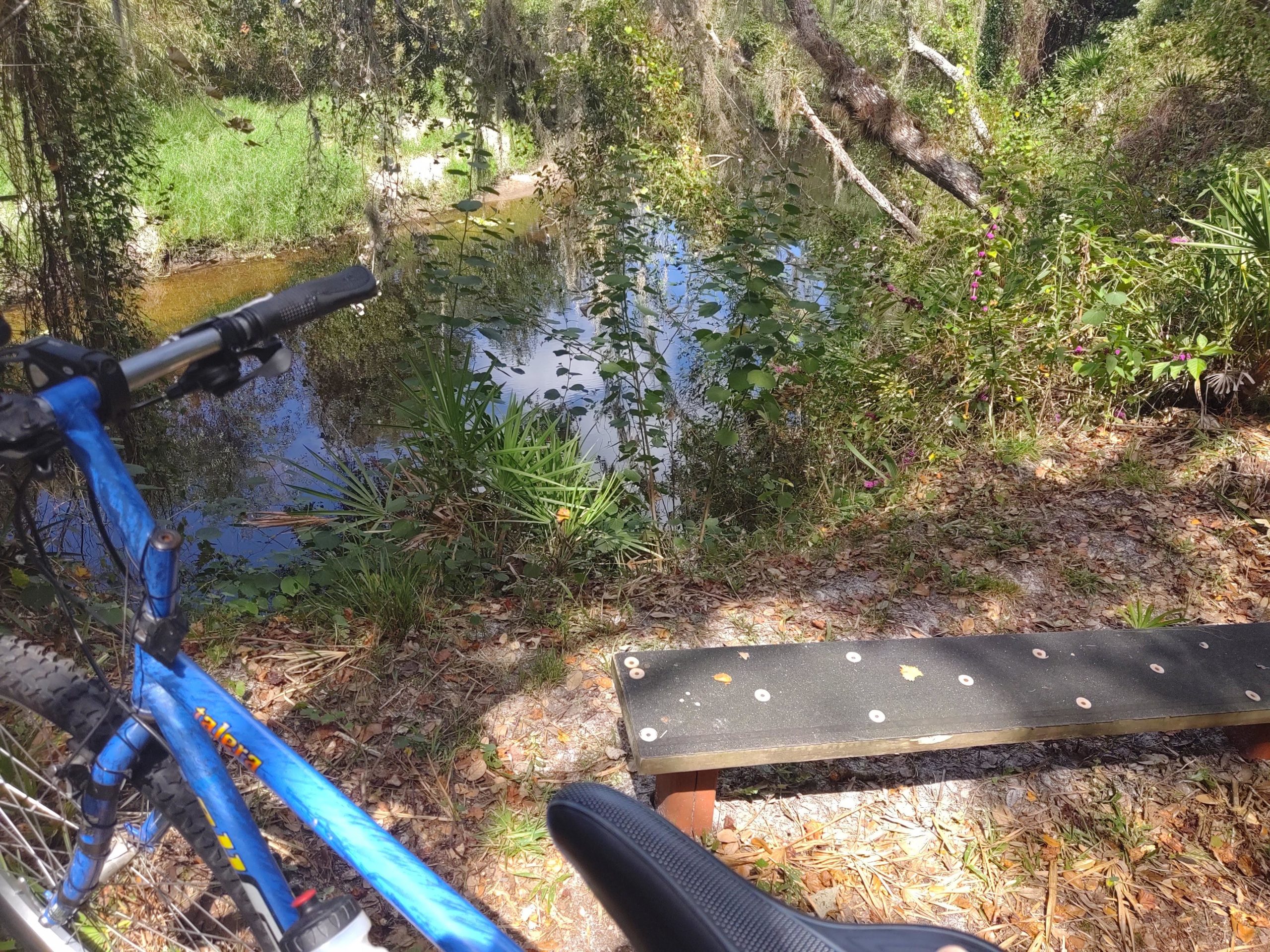 A blue bicycle is positioned next to a wooden bench overlooking a serene waterway surrounded by greenery. Reflections of trees and foliage can be seen in the calm water, while the ground is covered in fallen leaves and small plants. Sunlight filters through the trees, creating a peaceful outdoor setting. North Port Mountain Bike Trails mountain bike trail.