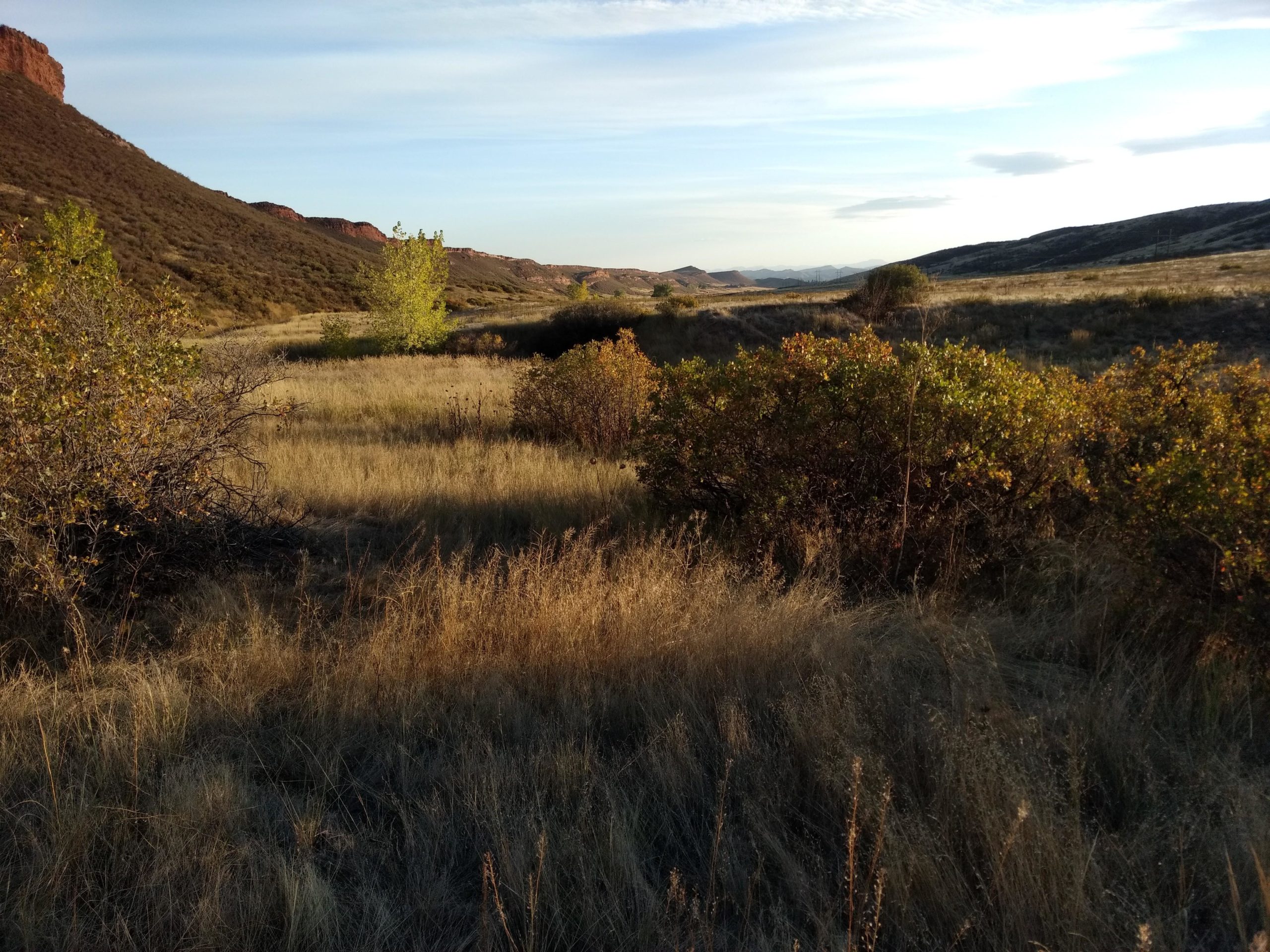 A scenic landscape featuring rolling hills and a wide plain covered in golden grass. In the foreground, there are clusters of small shrubs with autumn-colored leaves, and a lone tree with bright yellow foliage. The backdrop includes distant mountains and a clear sky, indicating either early morning or late afternoon light. Blue Sky mountain bike trail.