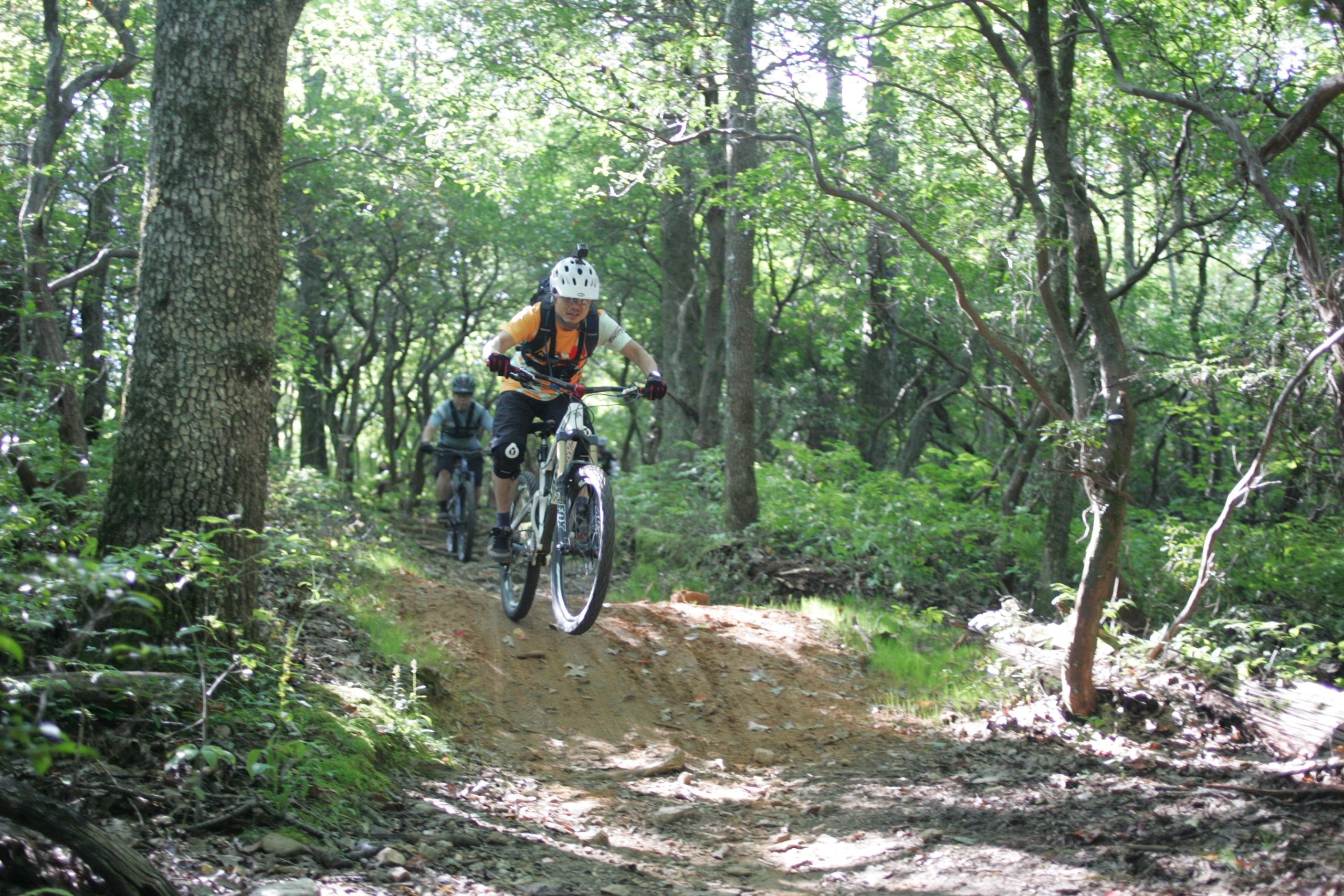 A mountain biker jumps over a small ramp on a dirt trail surrounded by dense greenery, with another biker following closely behind in a forested area. Avery Creek / 327 mountain bike trail.