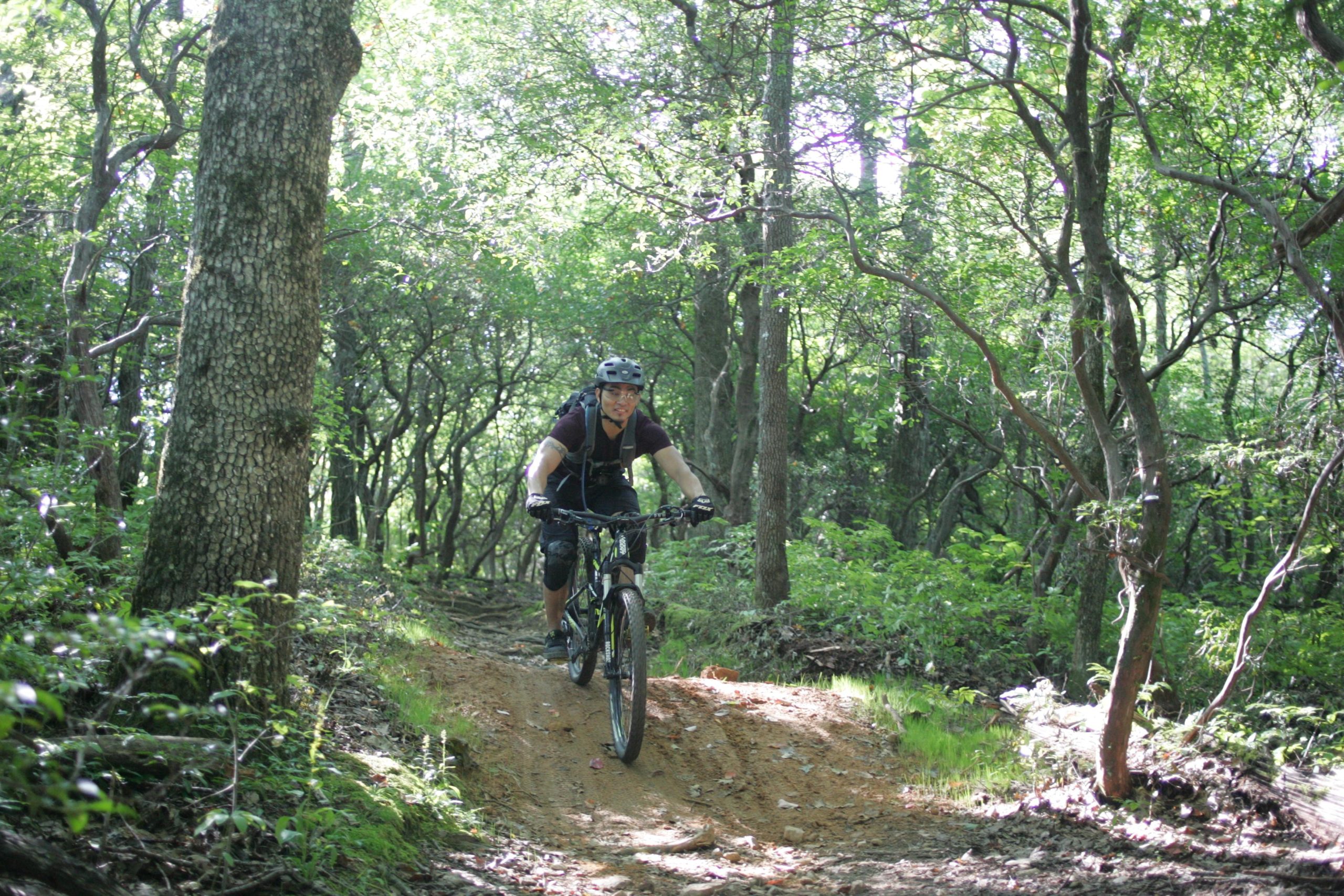 A mountain biker riding along a dirt trail in a lush green forest, surrounded by trees and sunlight filtering through the leaves. The rider is wearing a helmet, gloves, and a backpack, showcasing an active outdoor adventure. Avery Creek / 327 mountain bike trail.