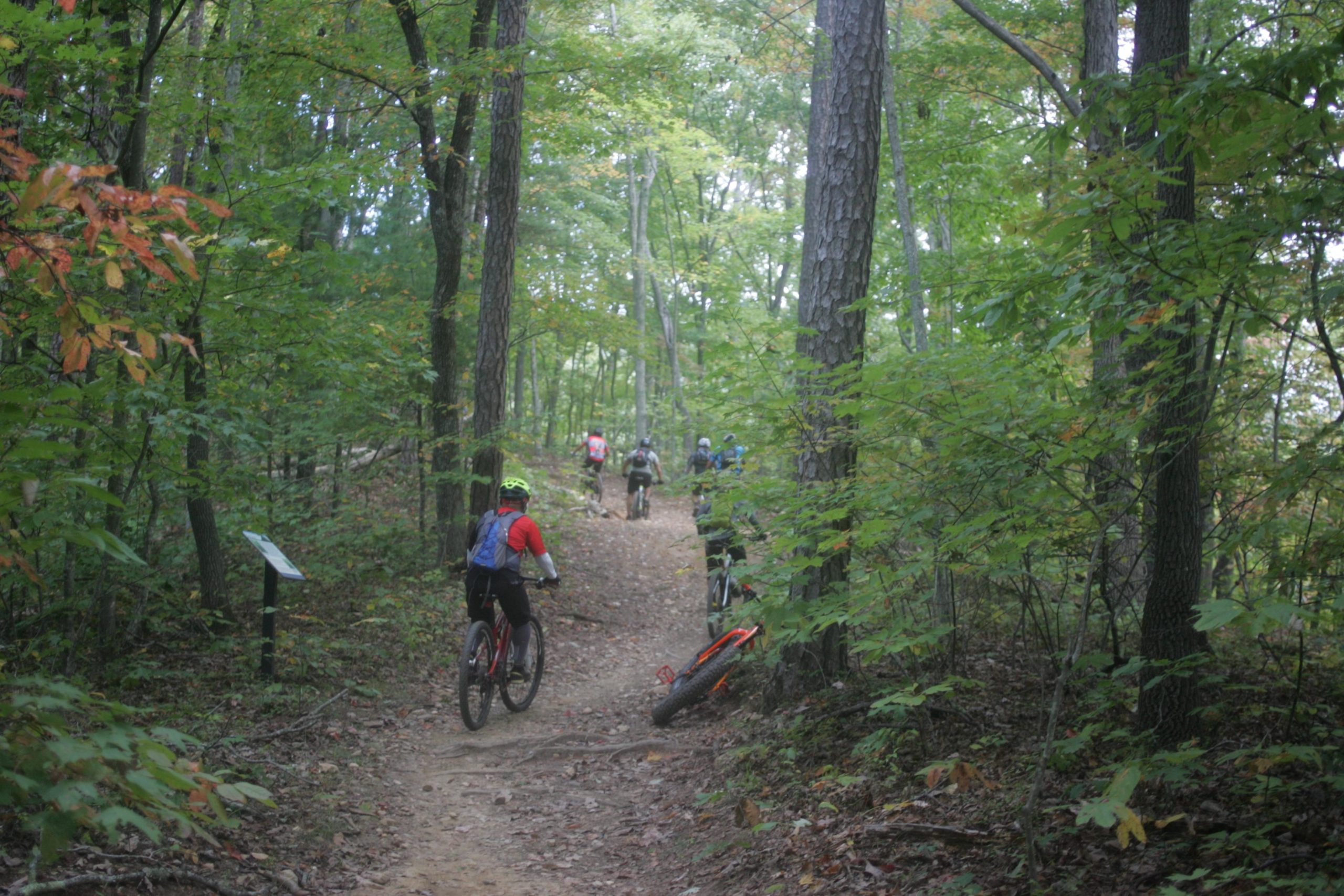 A group of mountain bikers rides along a narrow dirt trail through a dense forest, surrounded by lush green trees and foliage. One cyclist in the foreground wears a bright red shirt and a helmet, while others are visible on the trail in the background. An orange bike is leaning against a tree on the right side of the image, and informational signage can be seen to the left. Bent Creek mountain bike trail.